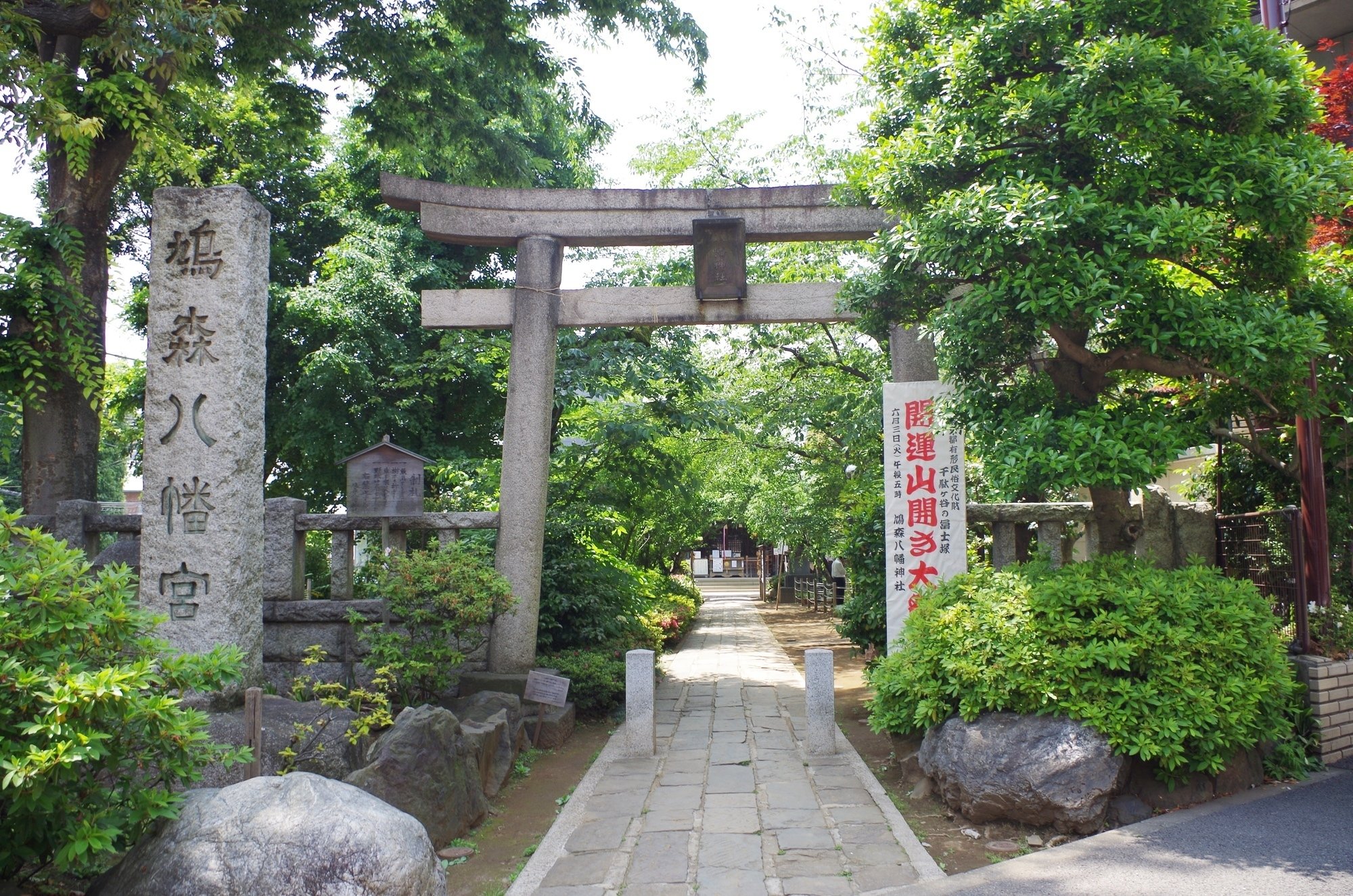 松村景文 枝垂桜双鳩図 - 日本の動物画‐いきもののかたち‐ 江戸