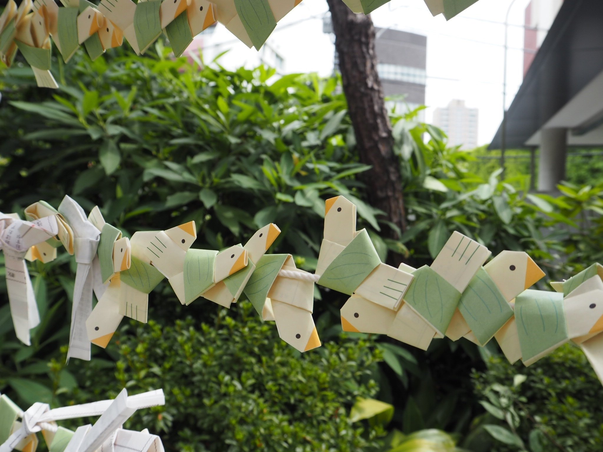 吉兆の到来をあらわす、八幡神の使い「鳩」-『神々の意思を