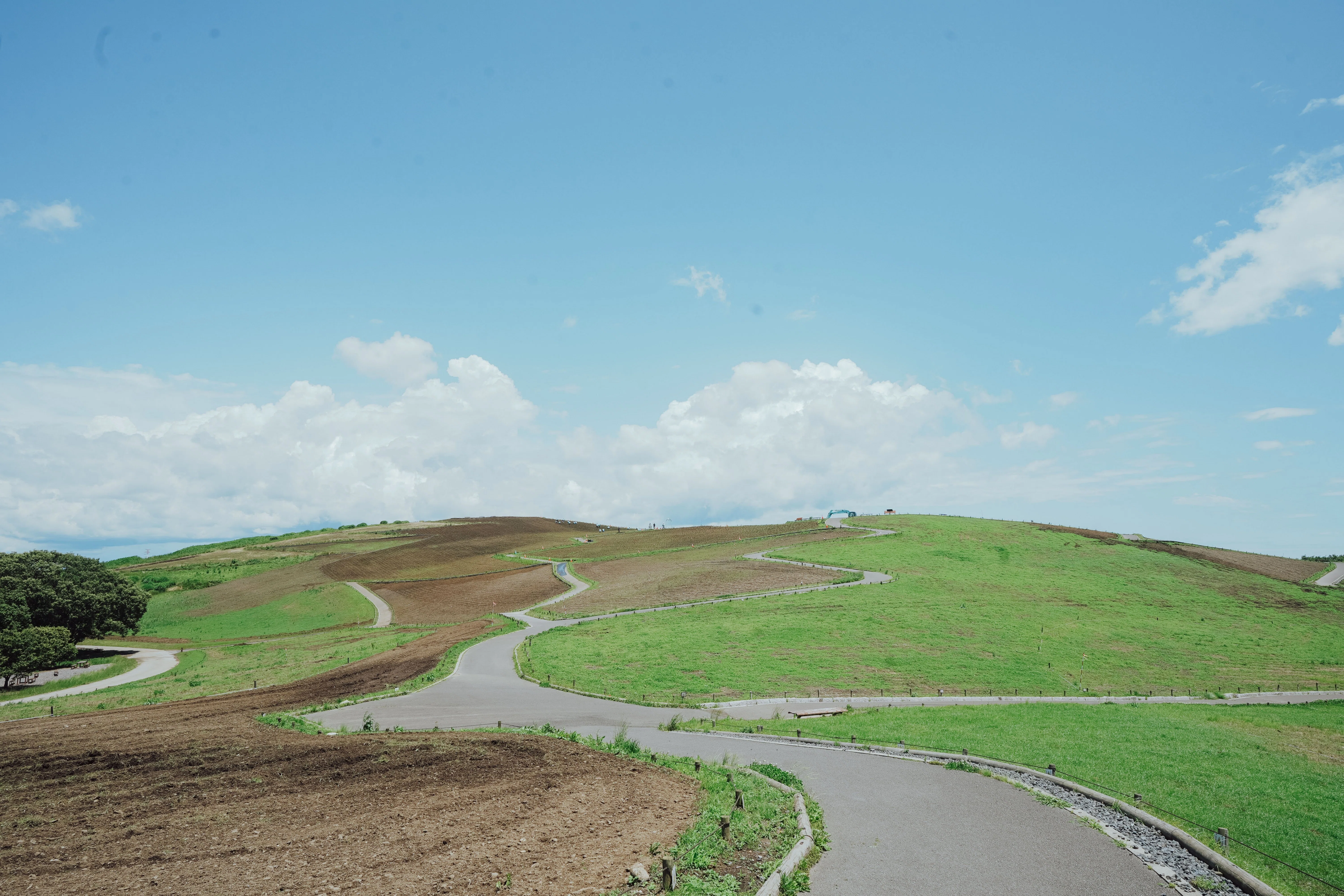 行けたら平日の「ひたち海浜公園」をおすすめしたい｜ひたちなか市公式