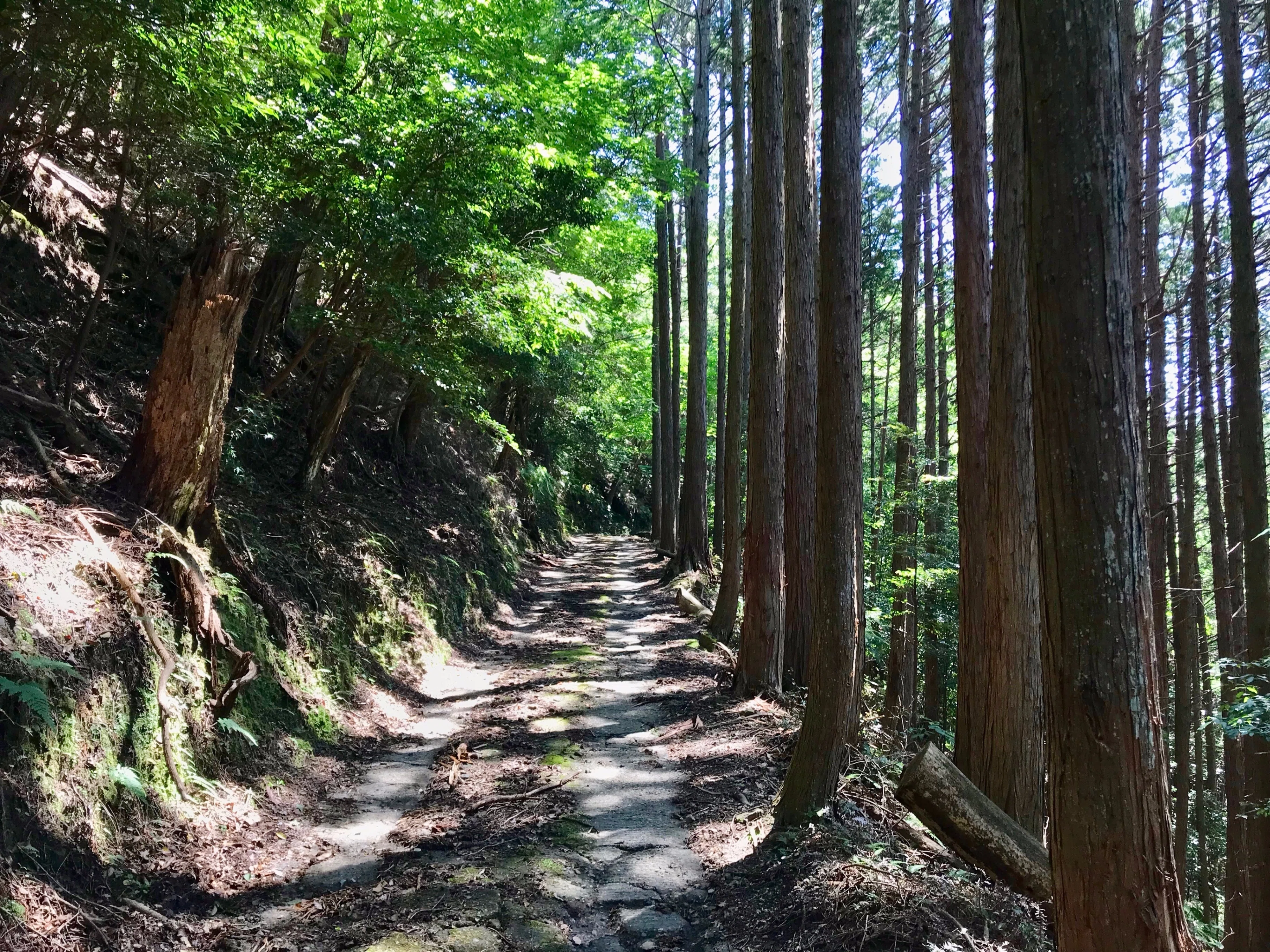 東海自然歩道_10｜和束から南山城、月ケ瀬口へ｜かぼちゃかべ