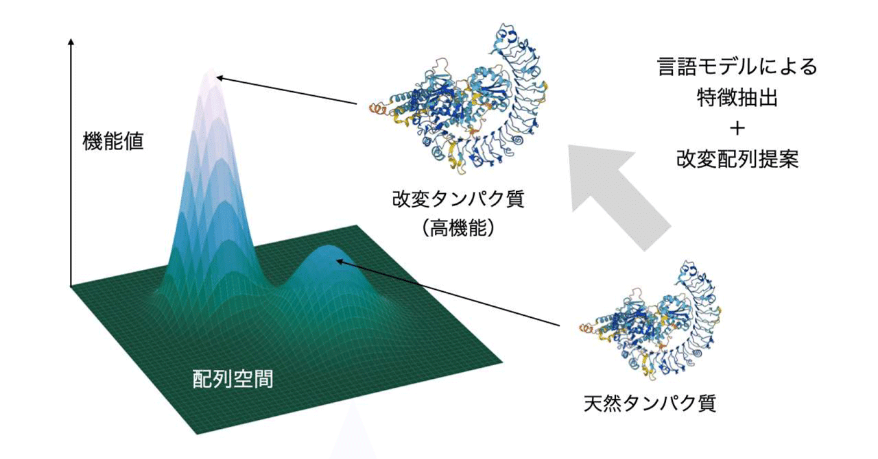 Data-efficient Sequence Design Based on Protein Language