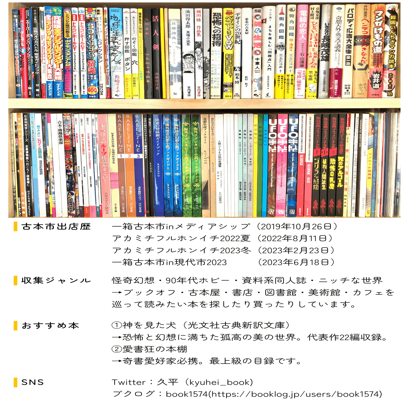 一箱古本市in現代市出店記録｜久平