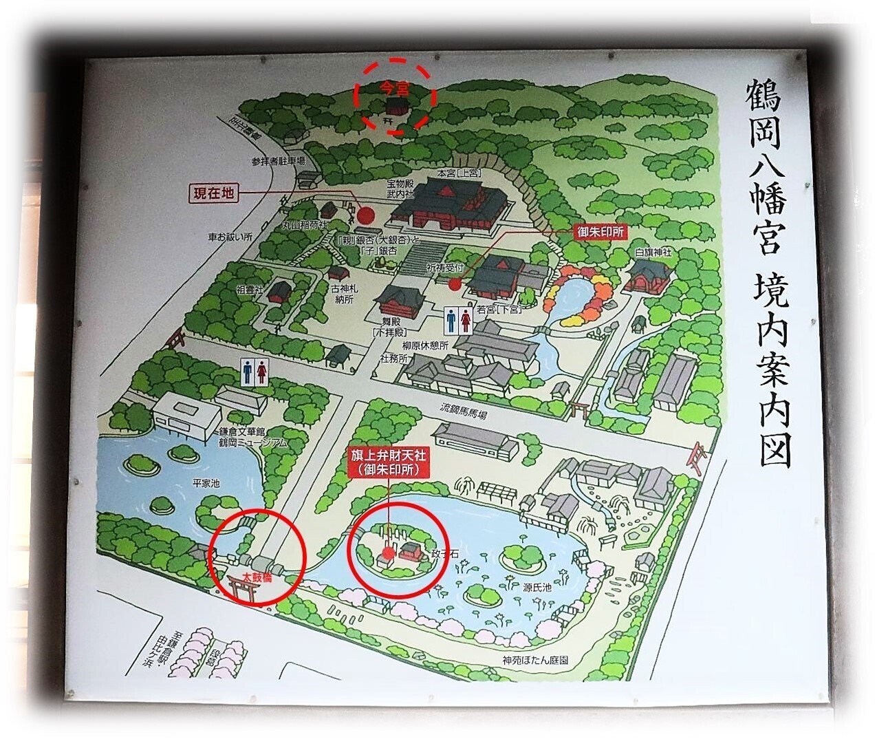 鎌倉八幡宮境内(額装済み)
