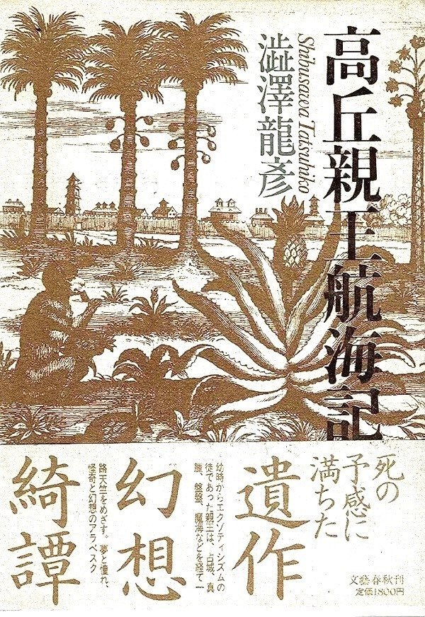スケールモデル 新作 南洋一郎 『海洋冒険物語』 : 南洋・南方ロマンの生きた時代 和書