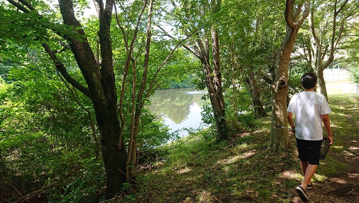 画像