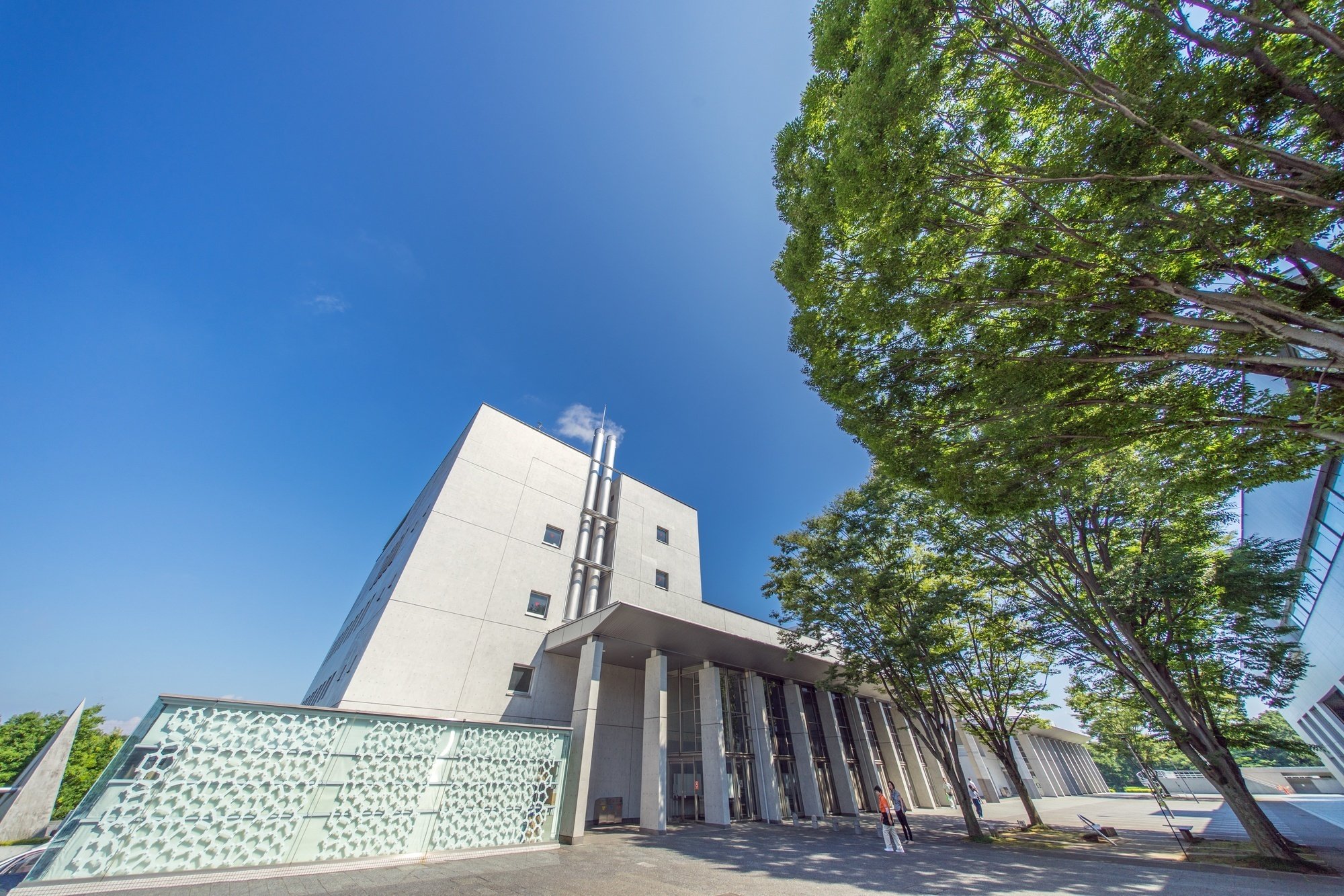 小学校受験】慶應義塾横浜初等部 願書、志望理由の書き方、例文
