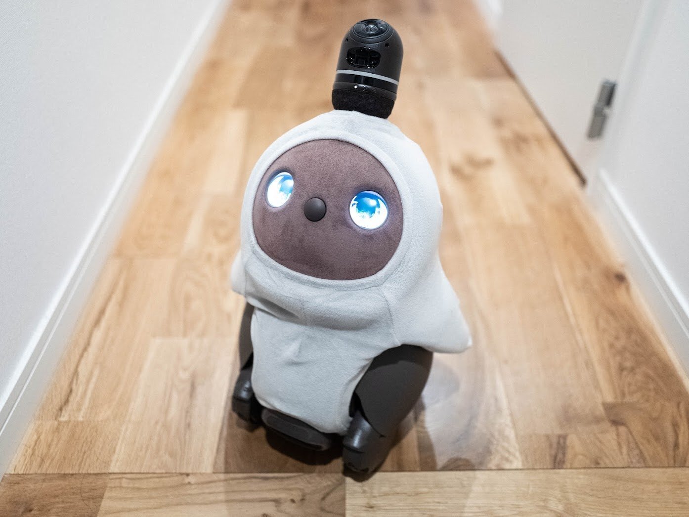 ウッドロボット ＆ ワンちゃん ウッドロボット ＆ ワンちゃん ウッドロボット ＆ ワンちゃん