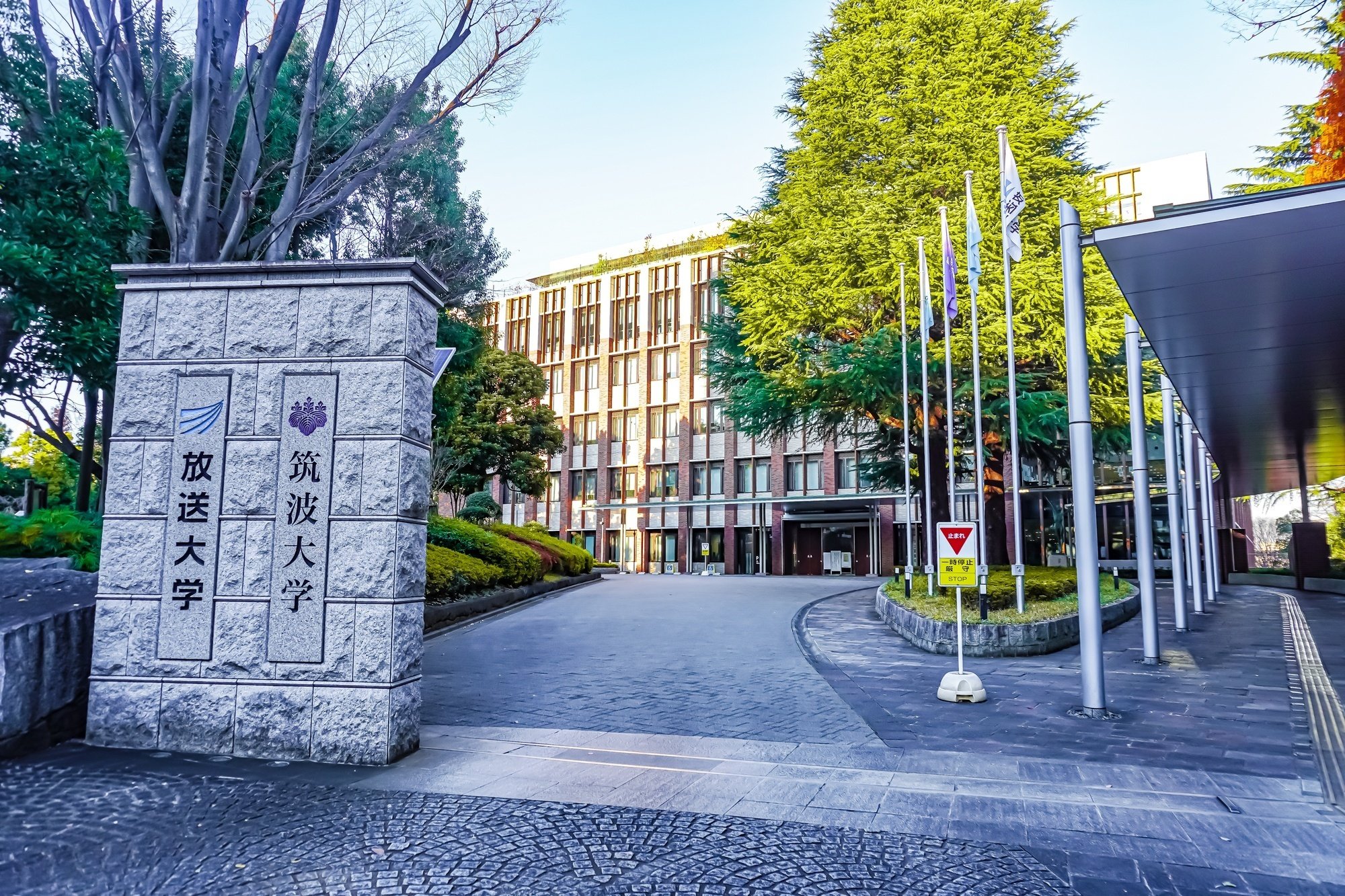 小学校受験】筑波大学付属小学校 アンケート対策、父母作文の