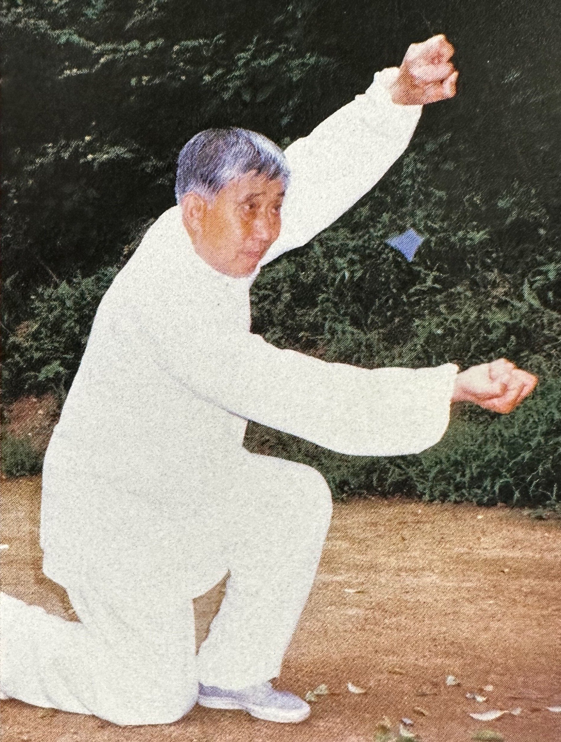 レア❣️ 本人直筆サイン入り　中国拳法　少林寺拳法　形意拳　中国語勉強 レア❣️ 本人直筆サイン入り 中国拳法 少林寺拳法 形意拳 中国