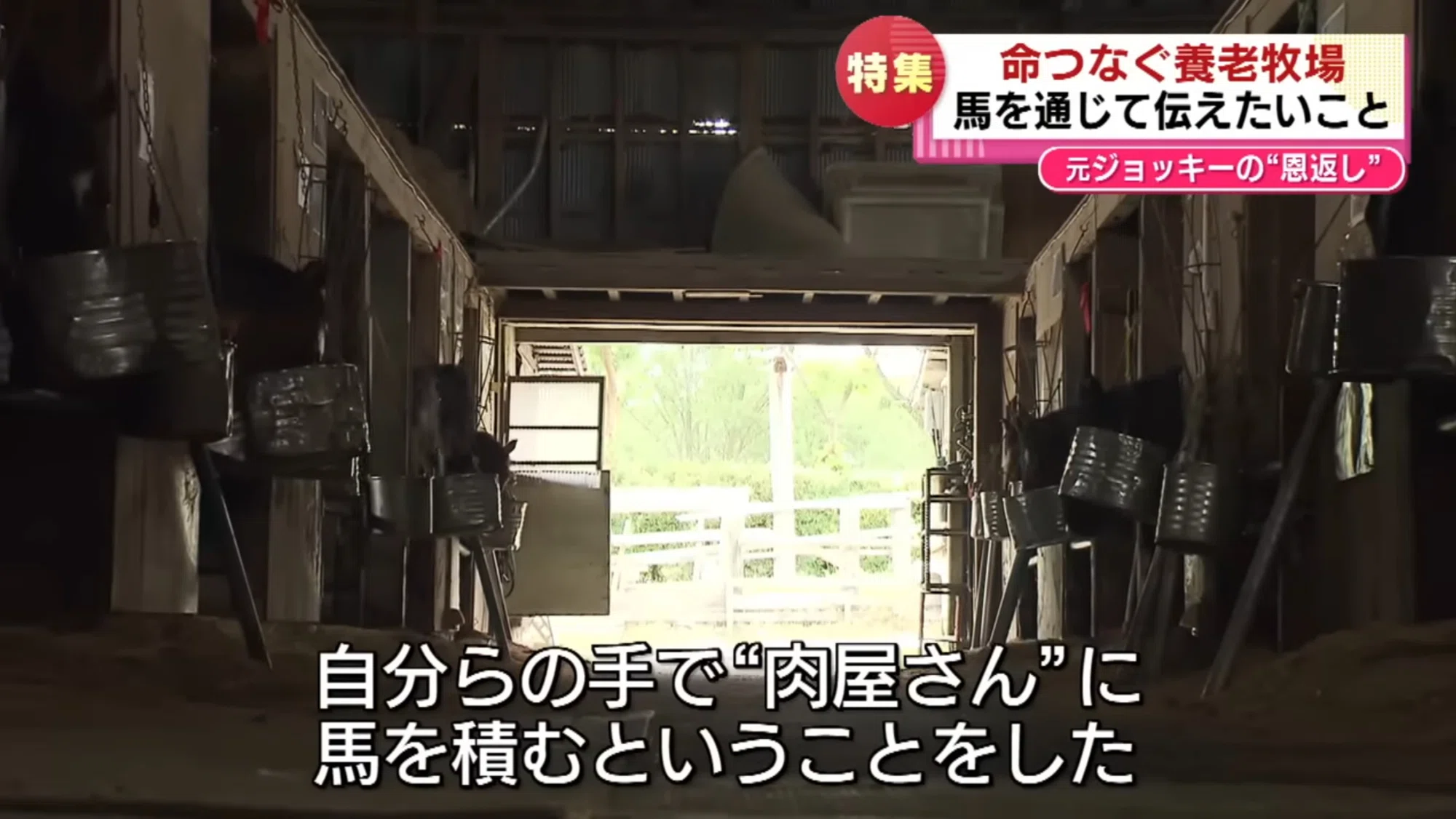 公の場での発言・インタビュー報道記録