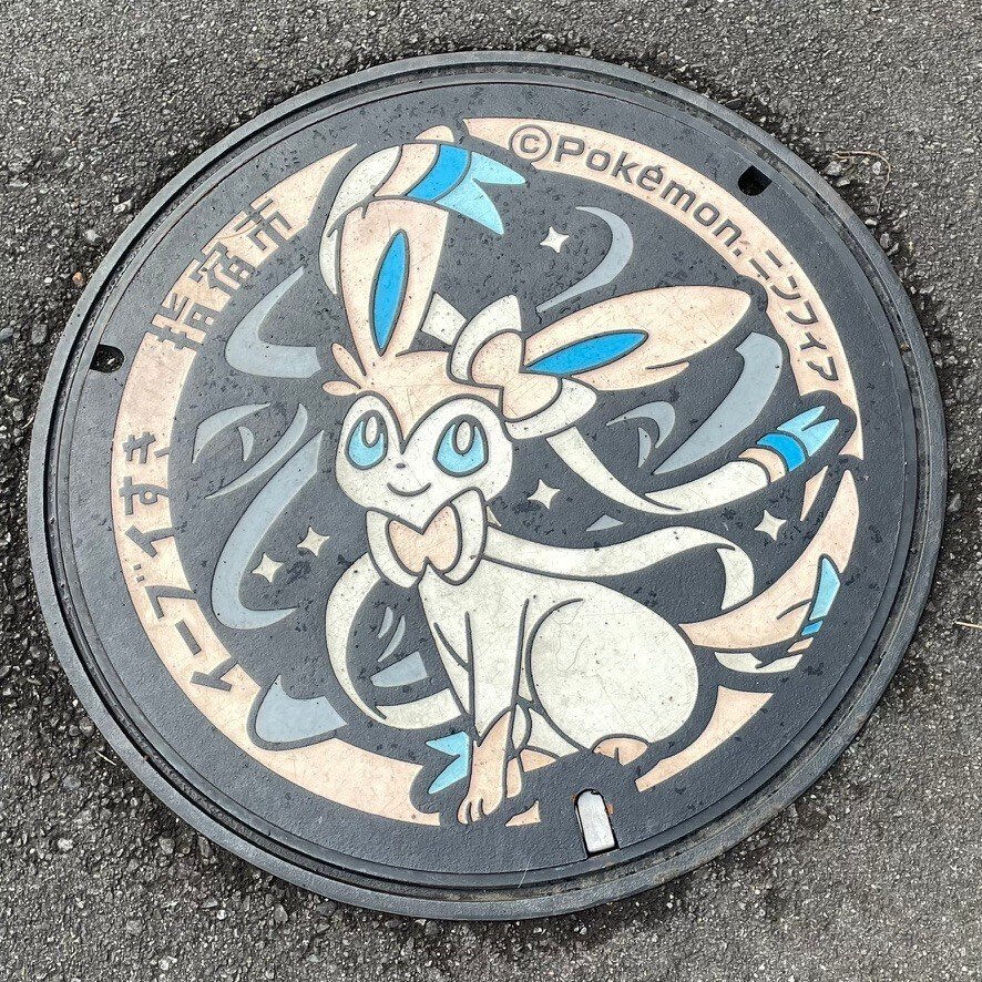 ポケふた@鹿児島県指宿市｜ニンフィア #4｜つよし