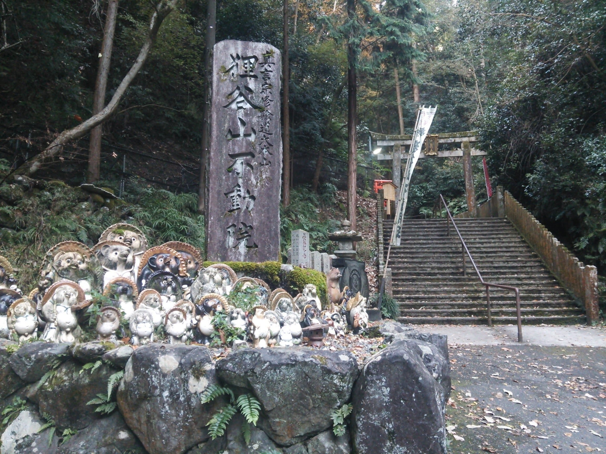 コワッ石仏不動明王「狸谷山不動院」狸オブジェを探せ【白川通東域