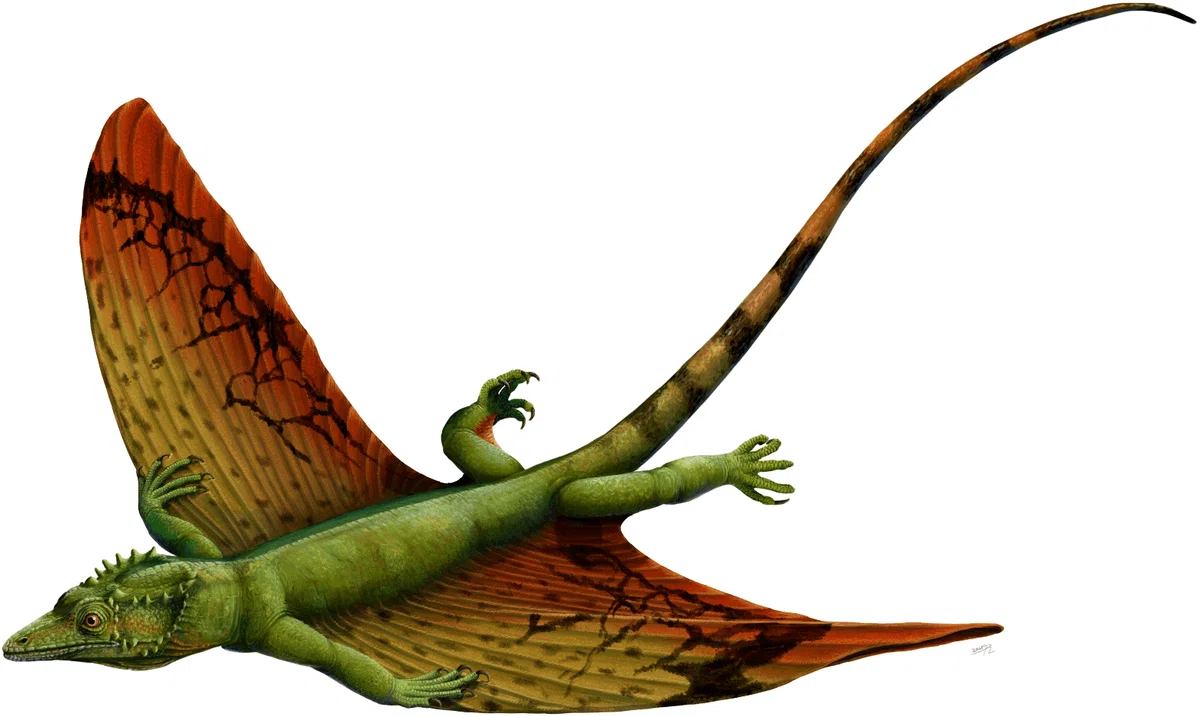 定価以下 松浦コータロー 古生物の陶板 コエルロサウラヴス 1687678869621-xa1i3QP3co.png