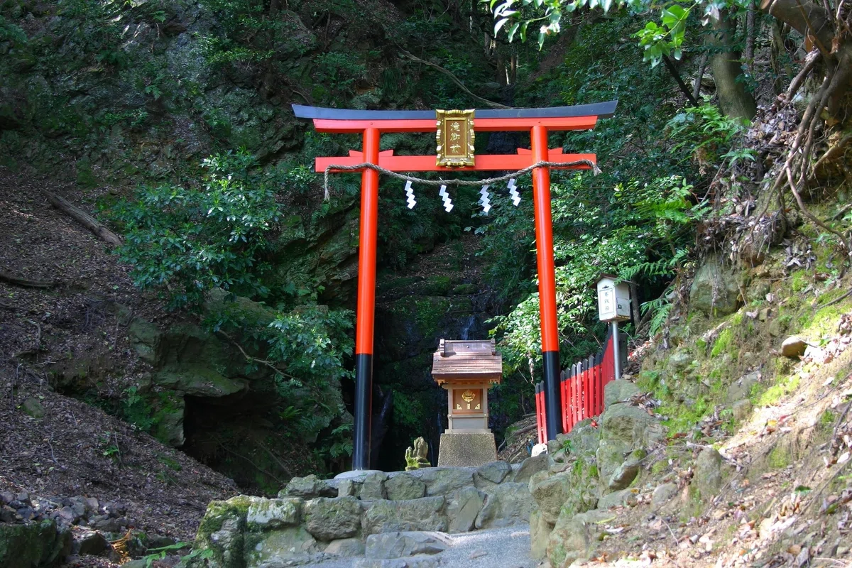 不老不死の霊力をもつ、大山咋神の使い - 「カメ」『神々の意思を伝える動物たち 〜神使・眷属の世界(第十七回)』|久保多渓心