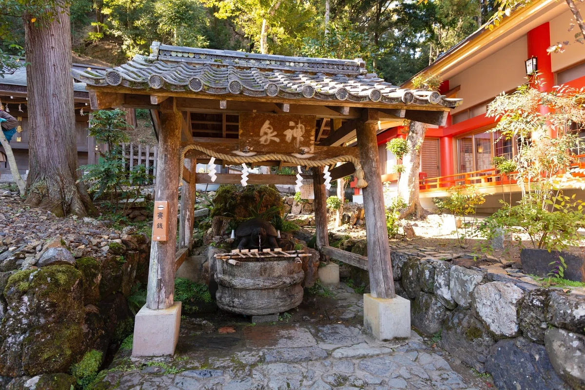 不老不死の霊力をもつ、大山咋神の使い - 「カメ」『神々の意思を伝える動物たち 〜神使・眷属の世界(第十七回)』|久保多渓心