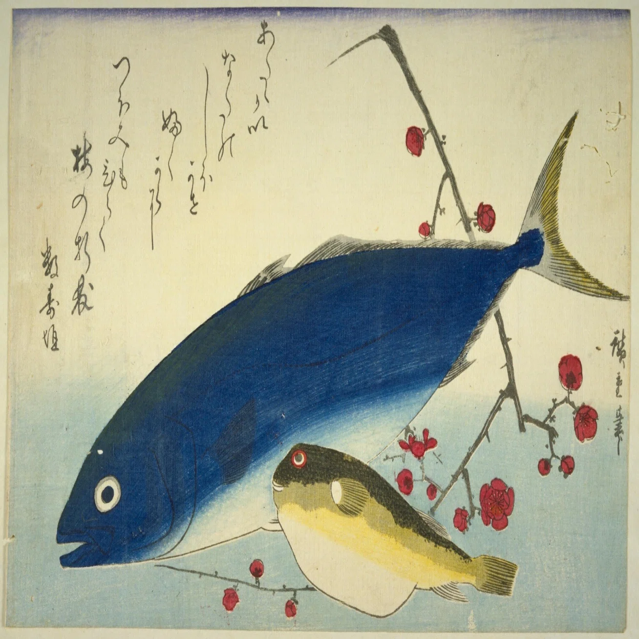 広重魚尽（うおづくし）｜mominaina