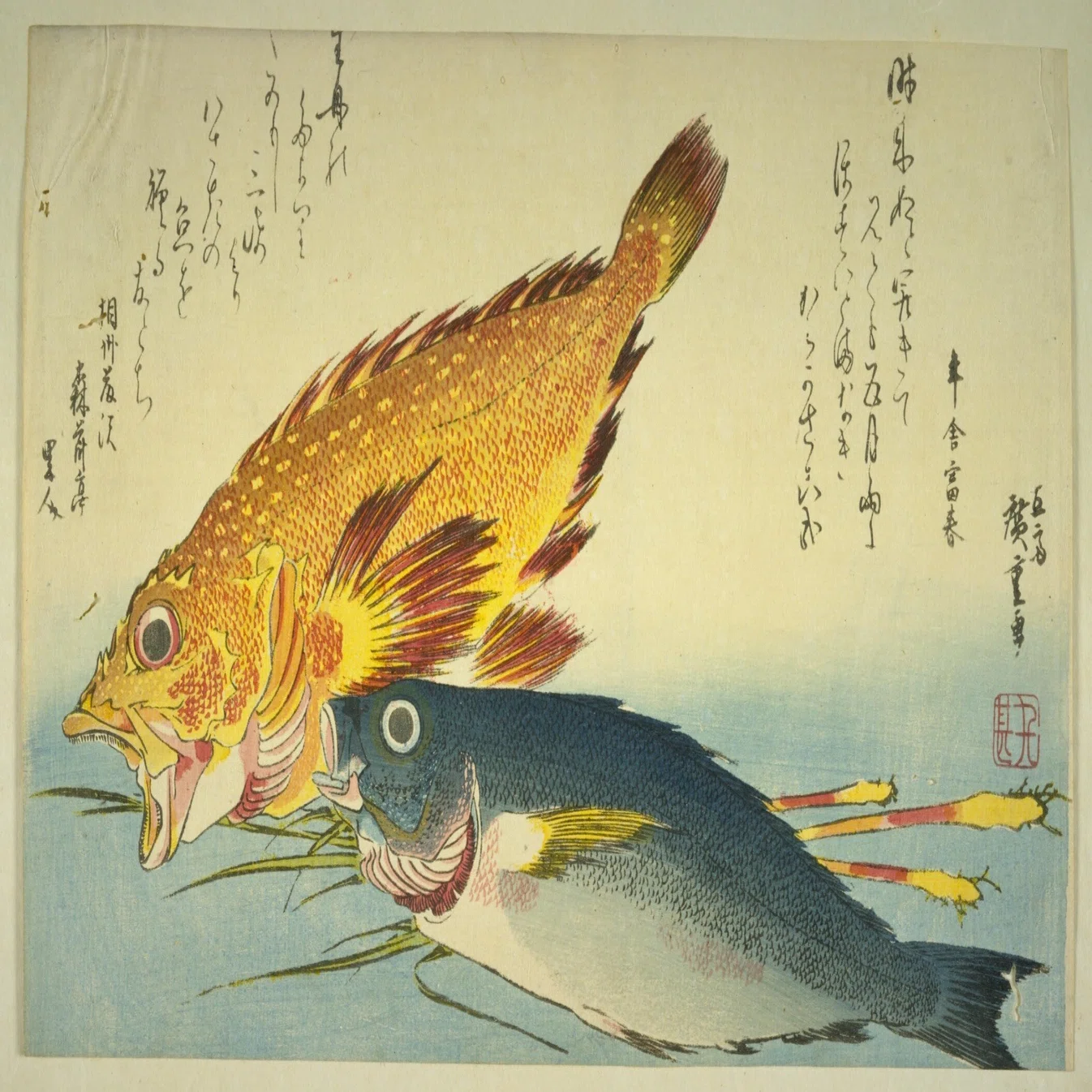 広重魚尽（うおづくし）｜mominaina