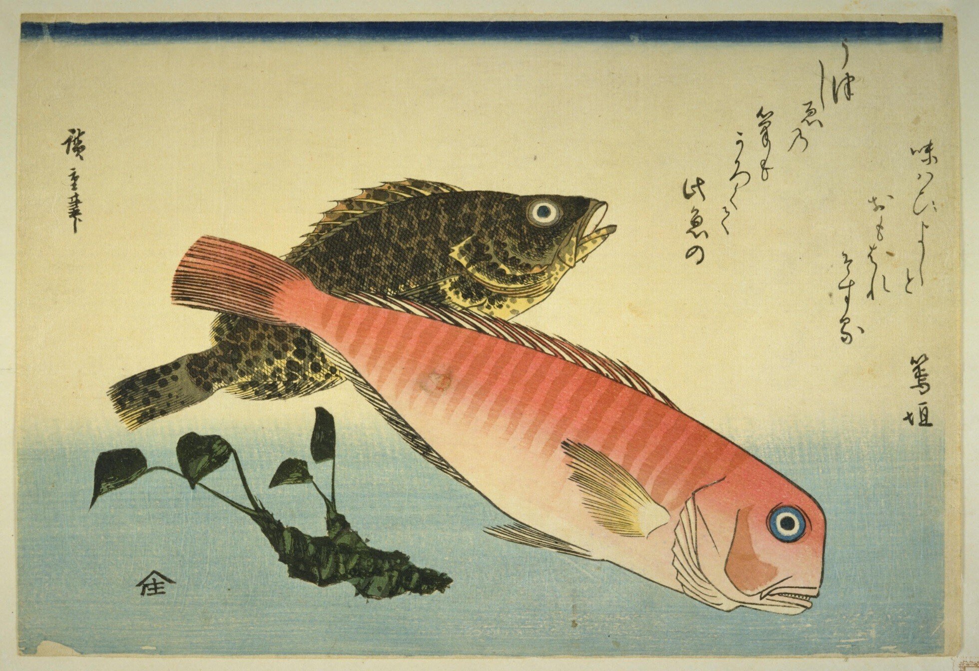 【広重 魚づくし 手摺木版画集】1832〜1842年 復刻木版】広重＜魚づくし／かれい、かながしらに笹＞