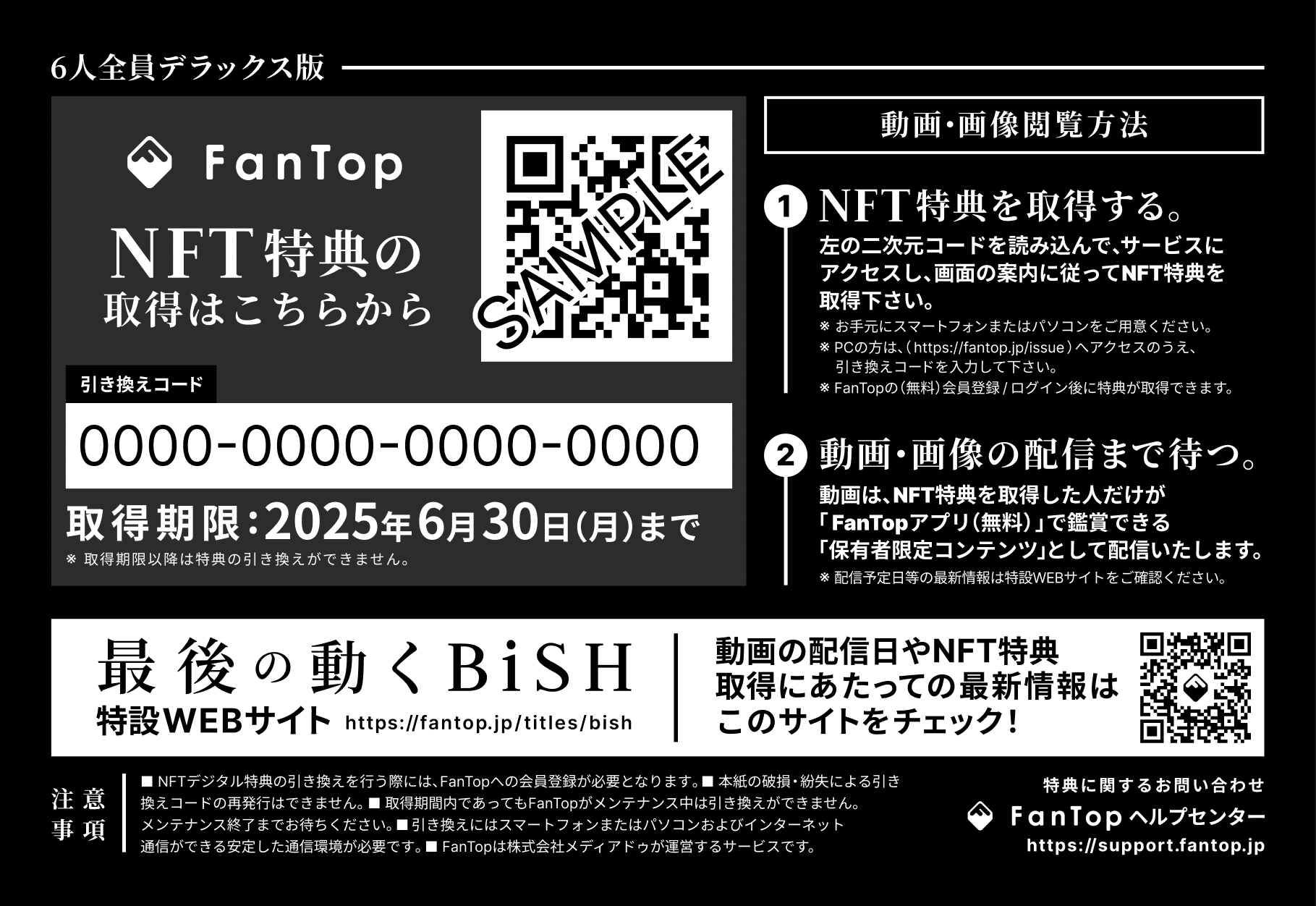 純正直販店 BiSH 卒業文集 アユニ・D ソロデラックス版 - タレントグッズ