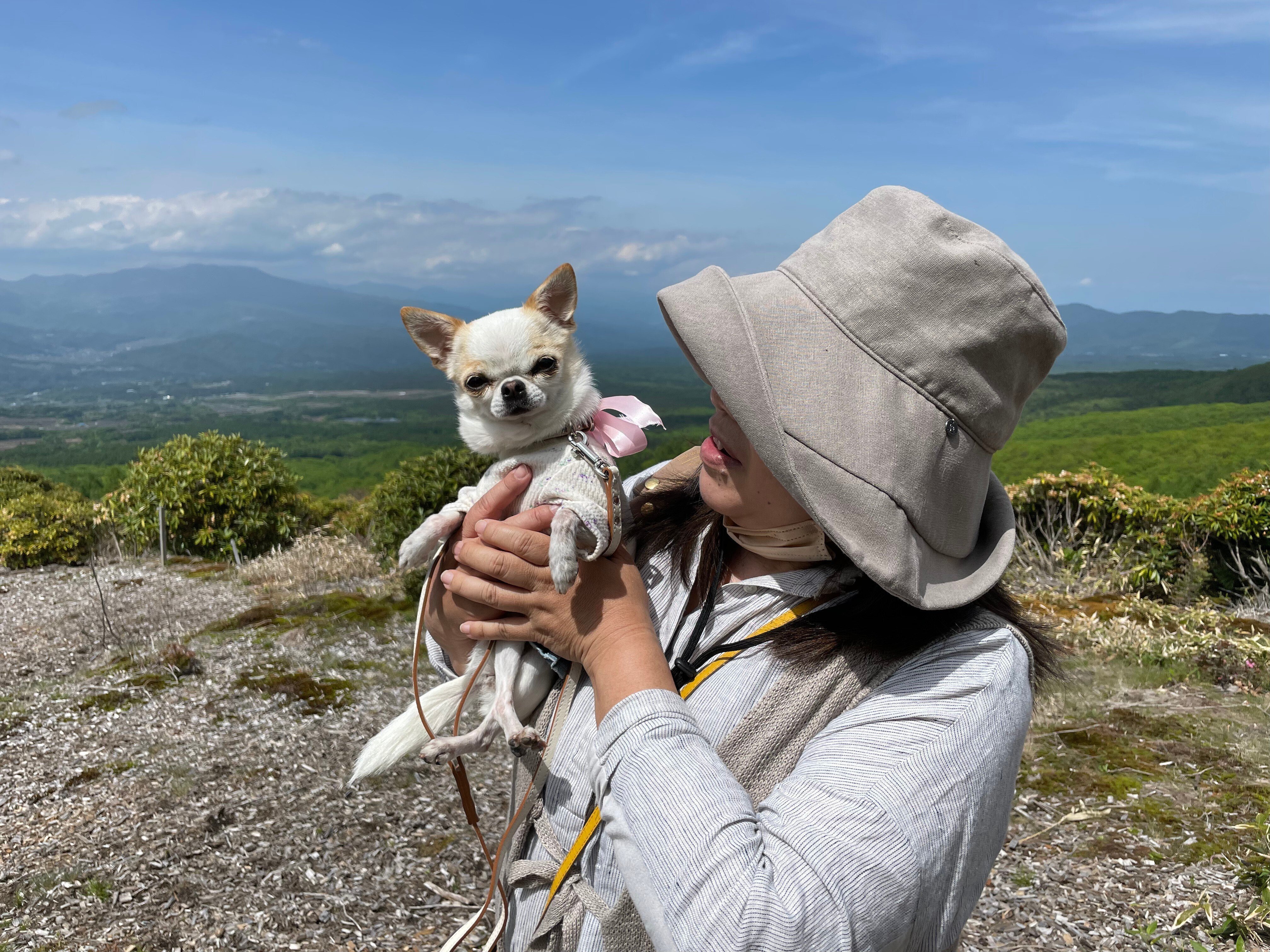愛犬 Amazon.co.jp | トレンドマスター なでなでワンちゃん秋田犬 HACHI EX