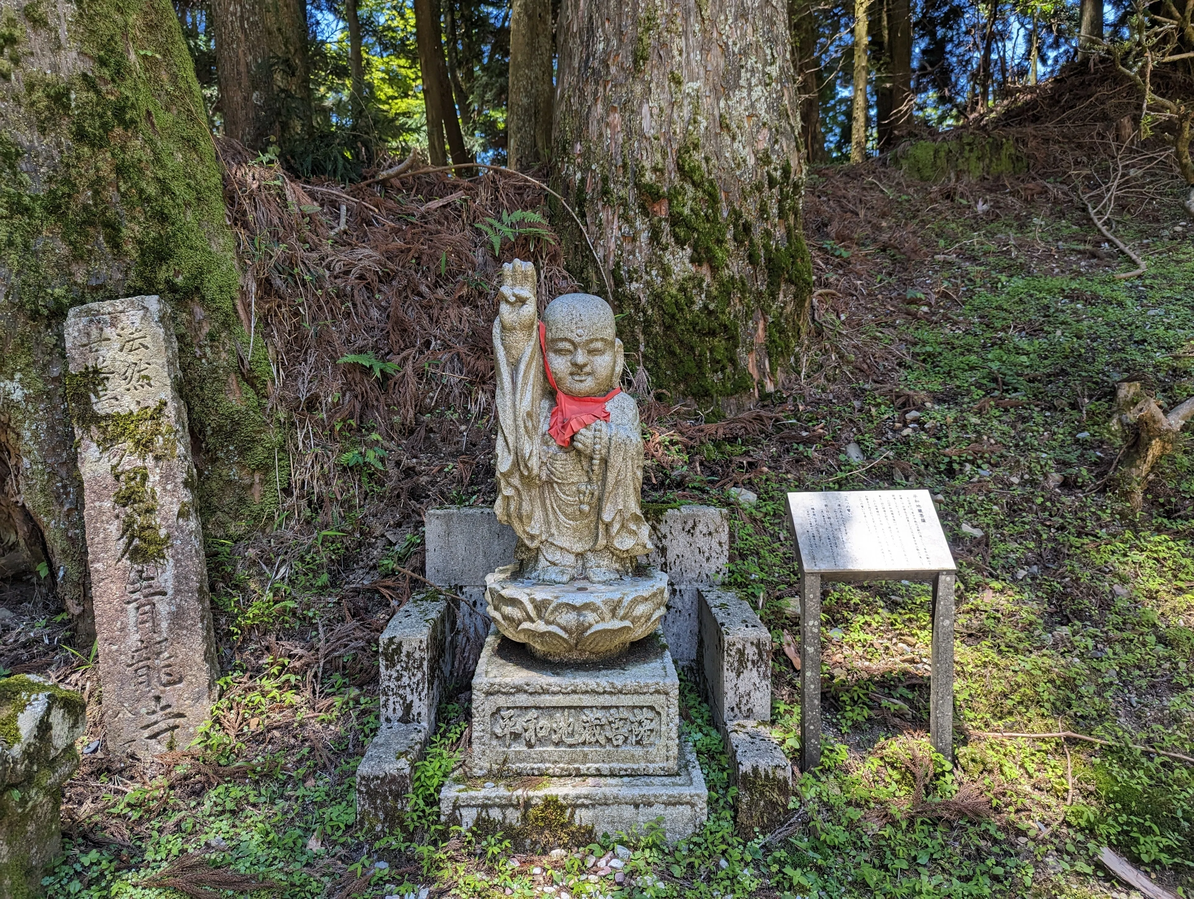 たくさん歩く(比叡山延暦寺・西塔)#365｜やん（矢野達也）