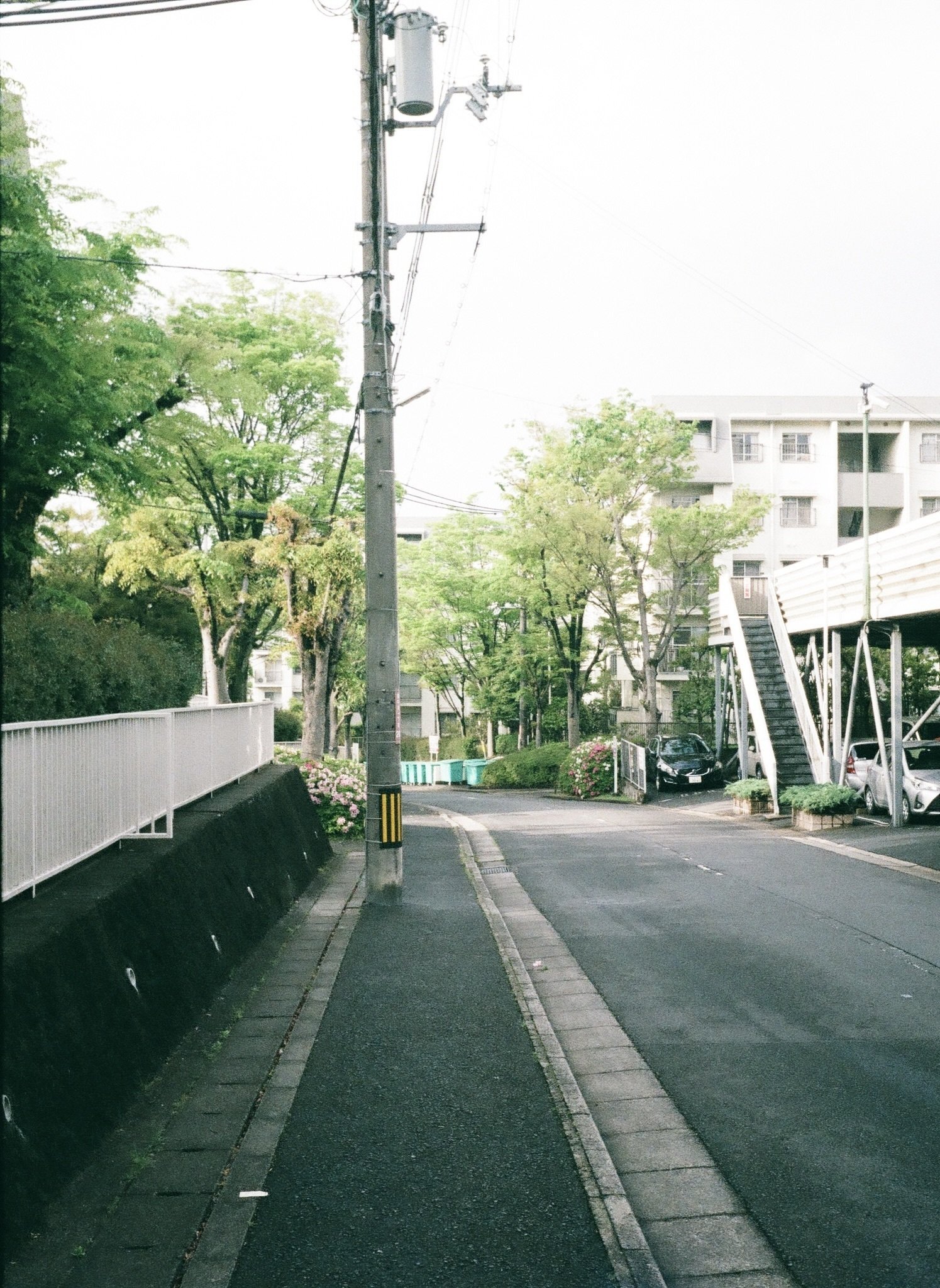 20230626 OLYMPUS PEN EE-2とフジカラー100|Ryuma 20230626 OLYMPUS PEN EE-2とフジカラー100|Ryuma