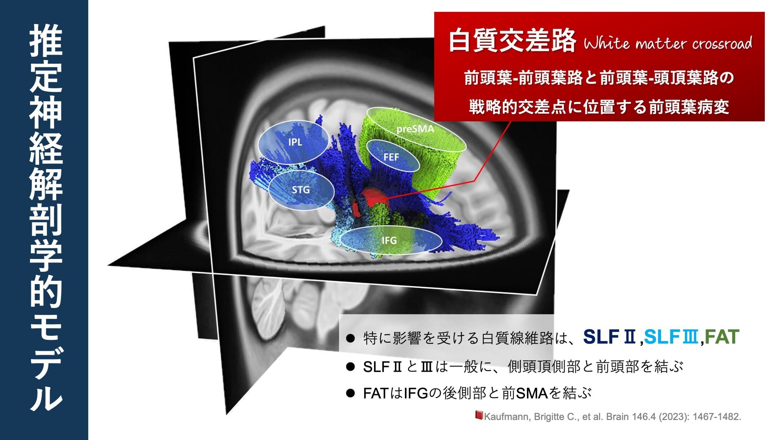 1687804779939-wbIT1uGcDf.jpg