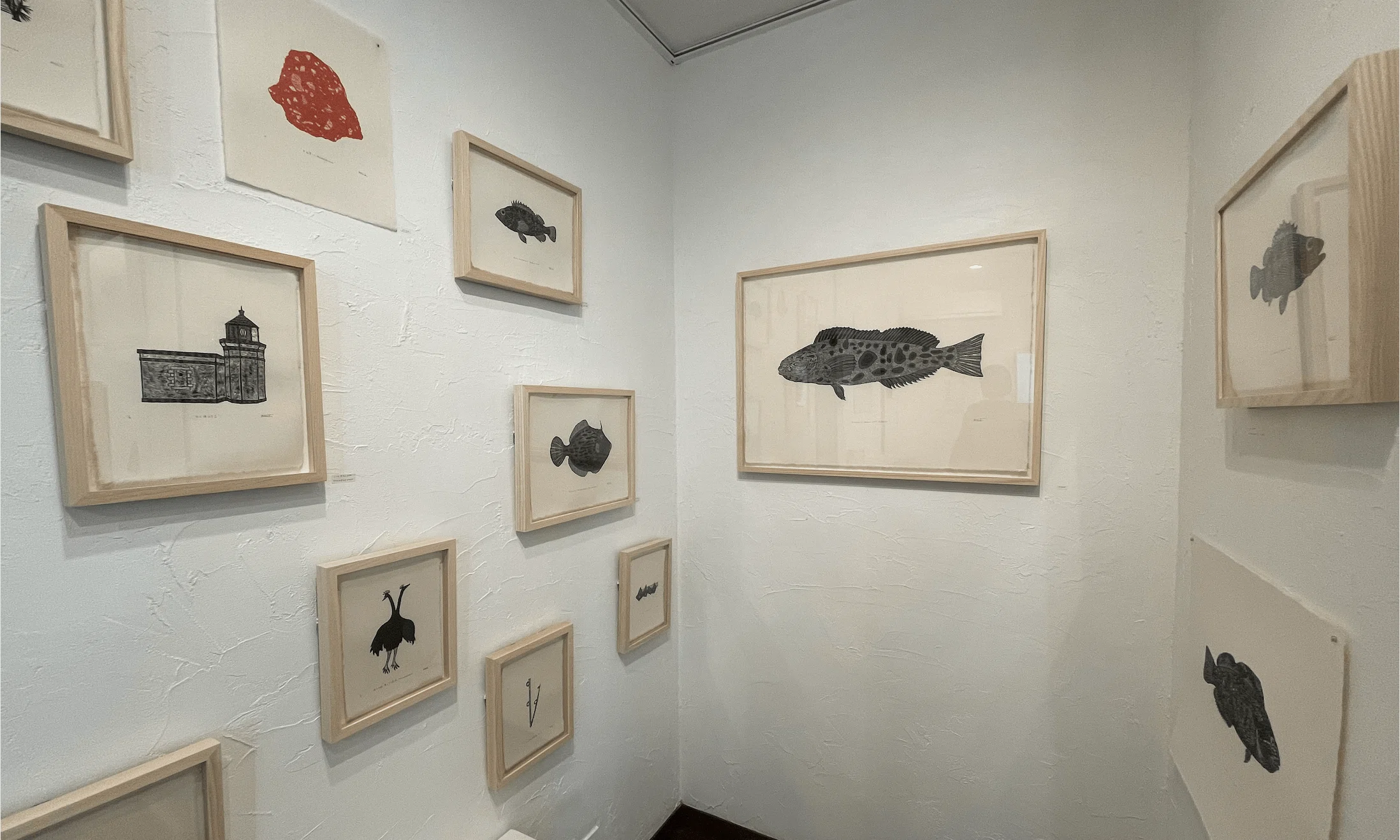 アート×釣り×食×地域の可能性 ｜ 版画作家 田中彰 氏｜SHIPS AIR｜一般