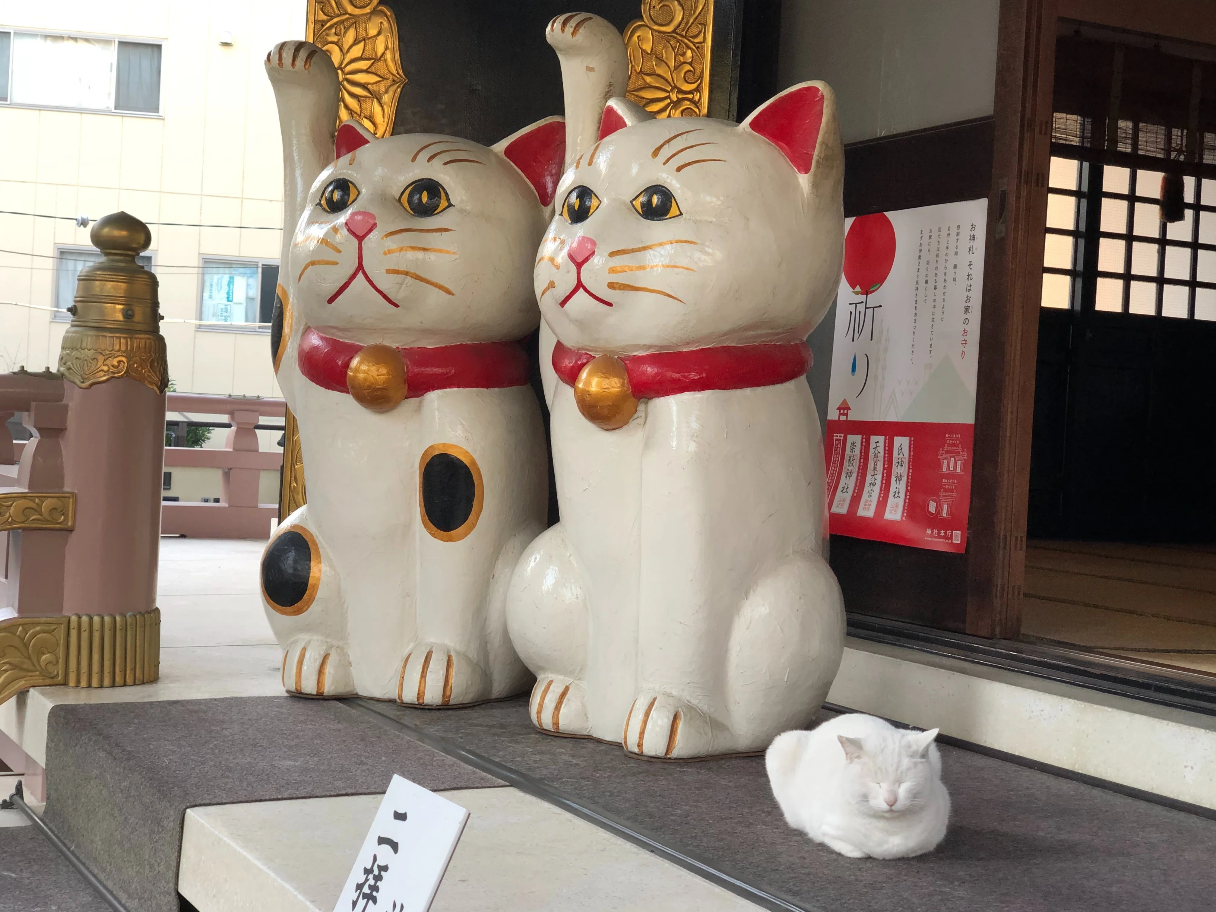 開運招福をもたらす、蚕神の使い「猫」 - 『神々の意思を伝える動物