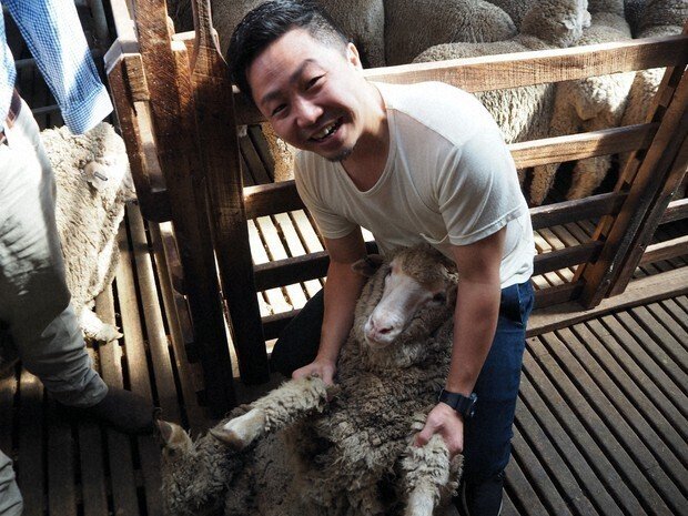 羊毛の産地であるオーストラリア・タスマニアを訪れた三星毛糸の岩田真吾さん＝同社提供