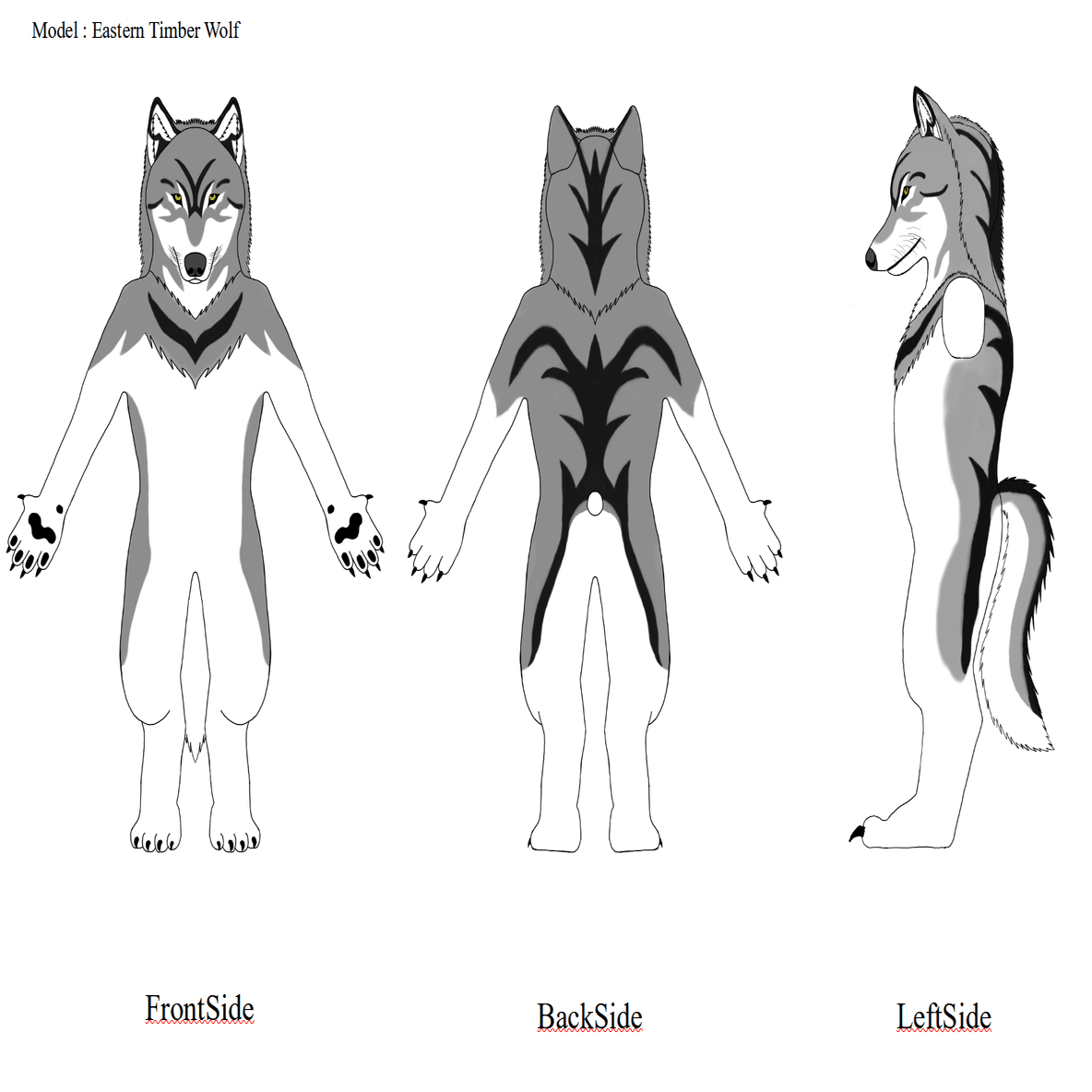 着ぐるみの製作を依頼した経緯から完成まで｜Timber Wolf