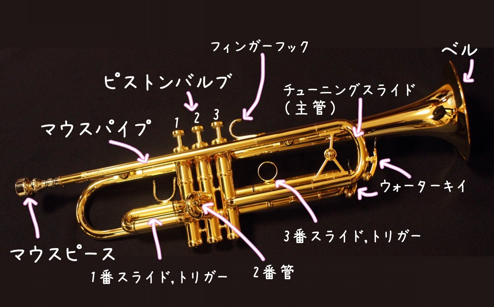 Bach トランペット マウスパイプフック 金メッキ