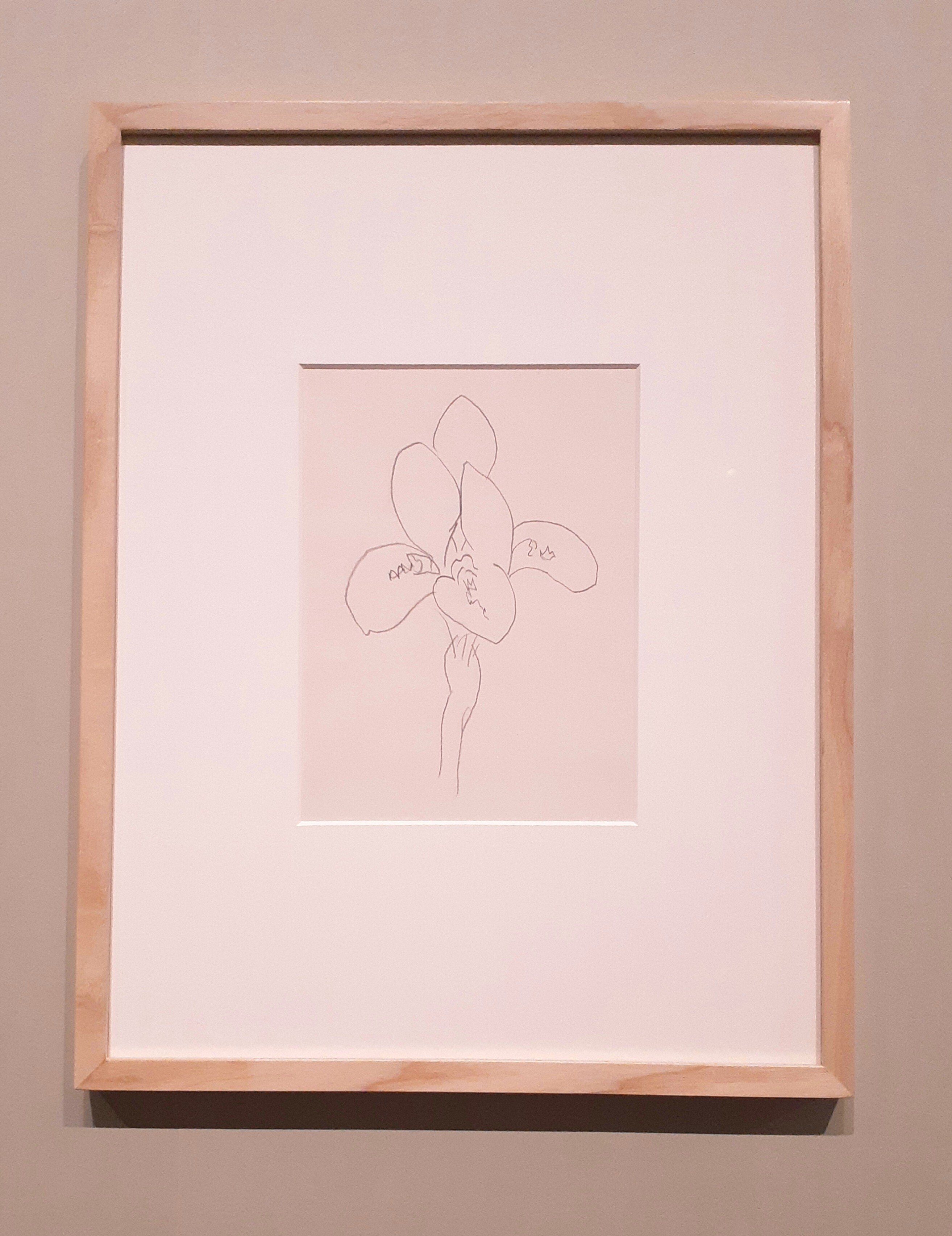 マティス展で感じたこと｜フランチェスカ