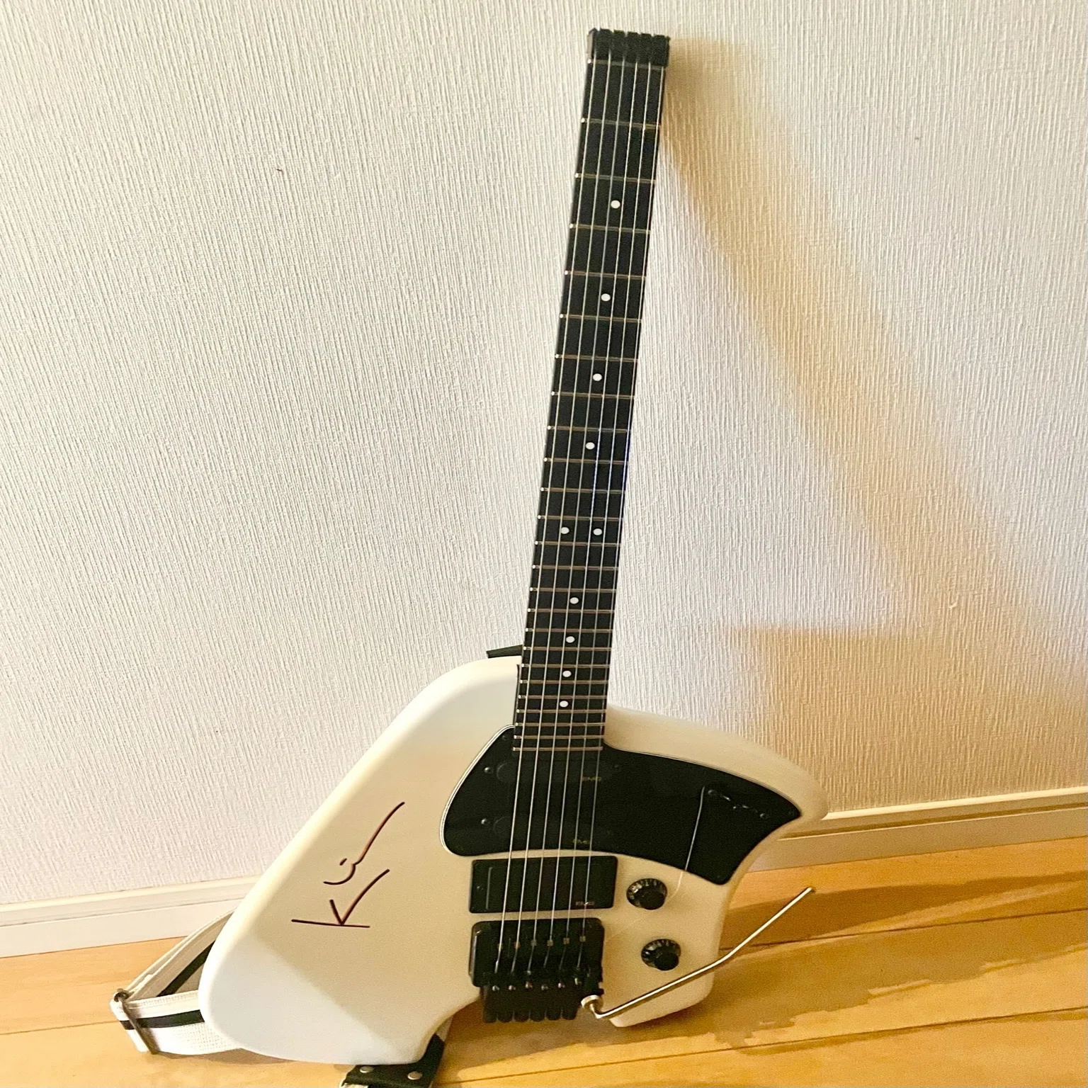 ビンよも klein steinberger GK 1988&1991｜渡来宏明