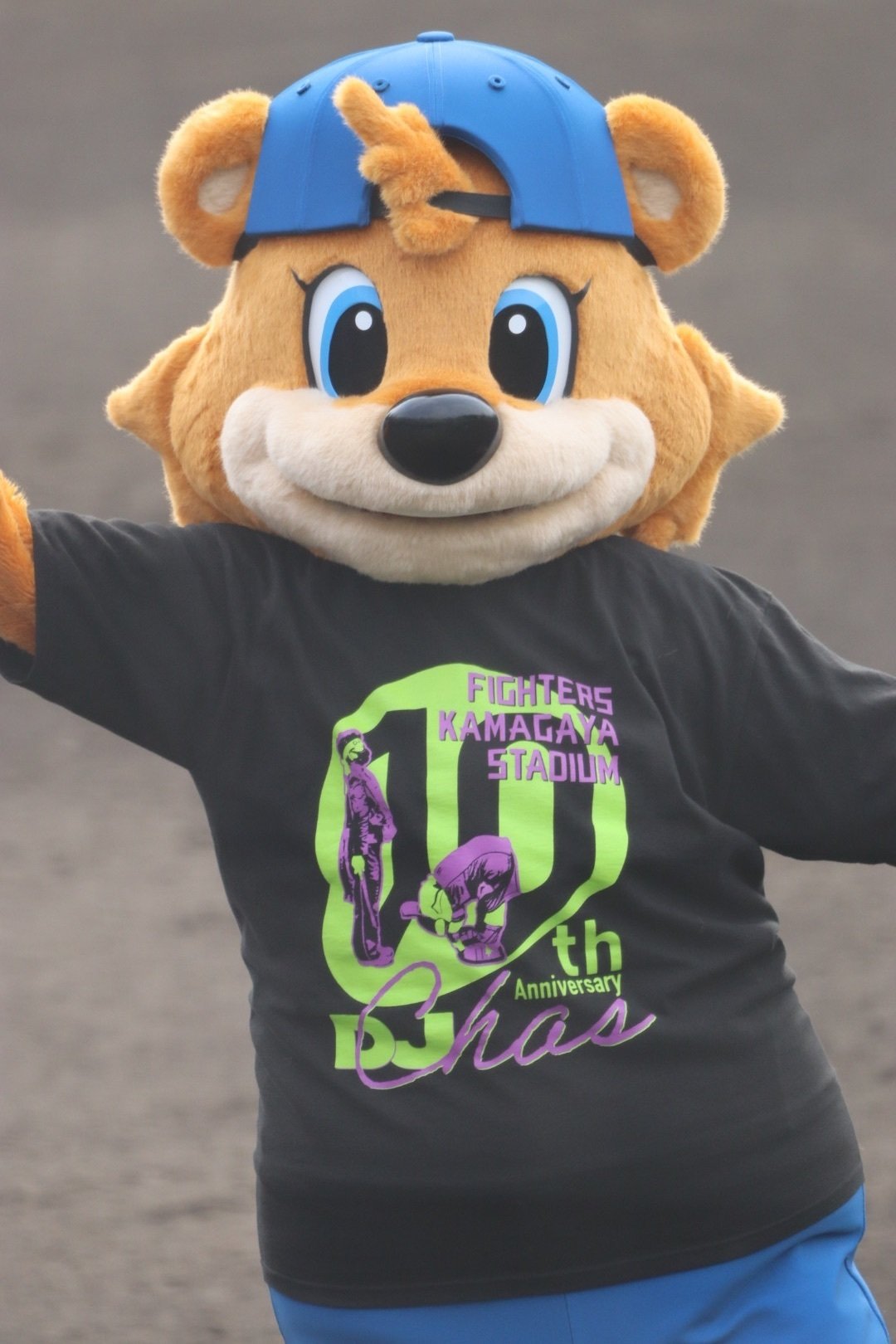 北海道日本ハムファイターズ 凄まじ カビー タオル 鎌ヶ谷
