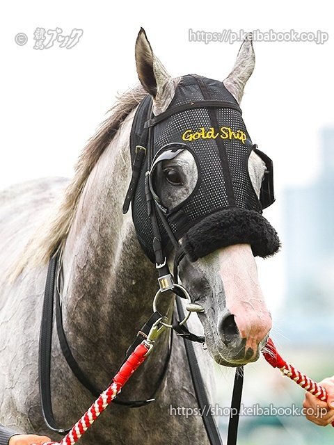 今日は何の日～2014年6月29日／宝塚記念（ゴールドシップ）｜競馬ブック