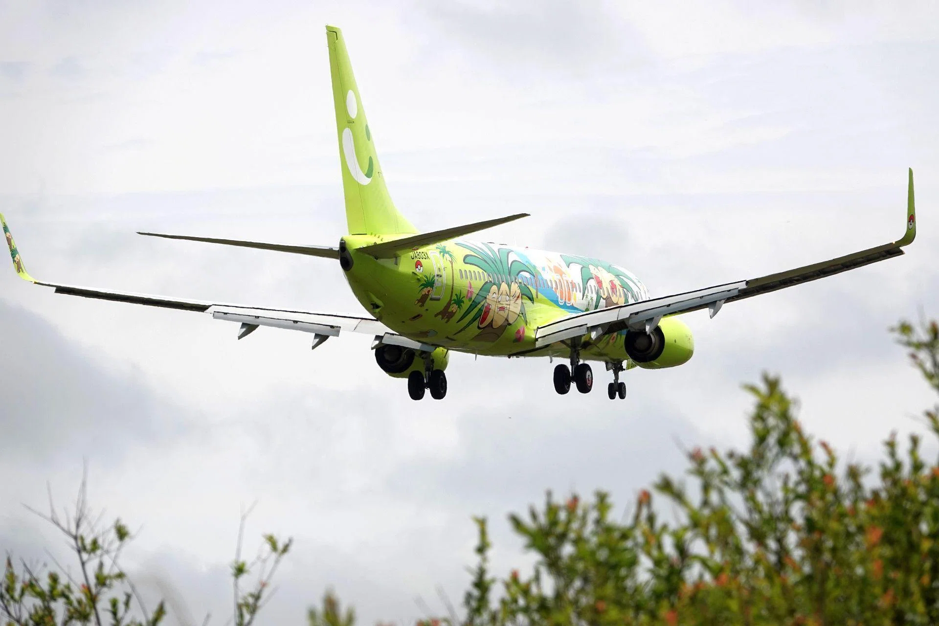 新千歳にナッシー！｜やぶ悟空