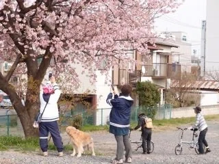 画像