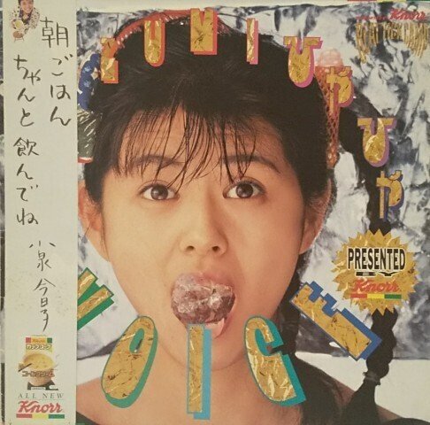 1980年代のコンサートパンフレット(主にアイドル)｜アンマchan