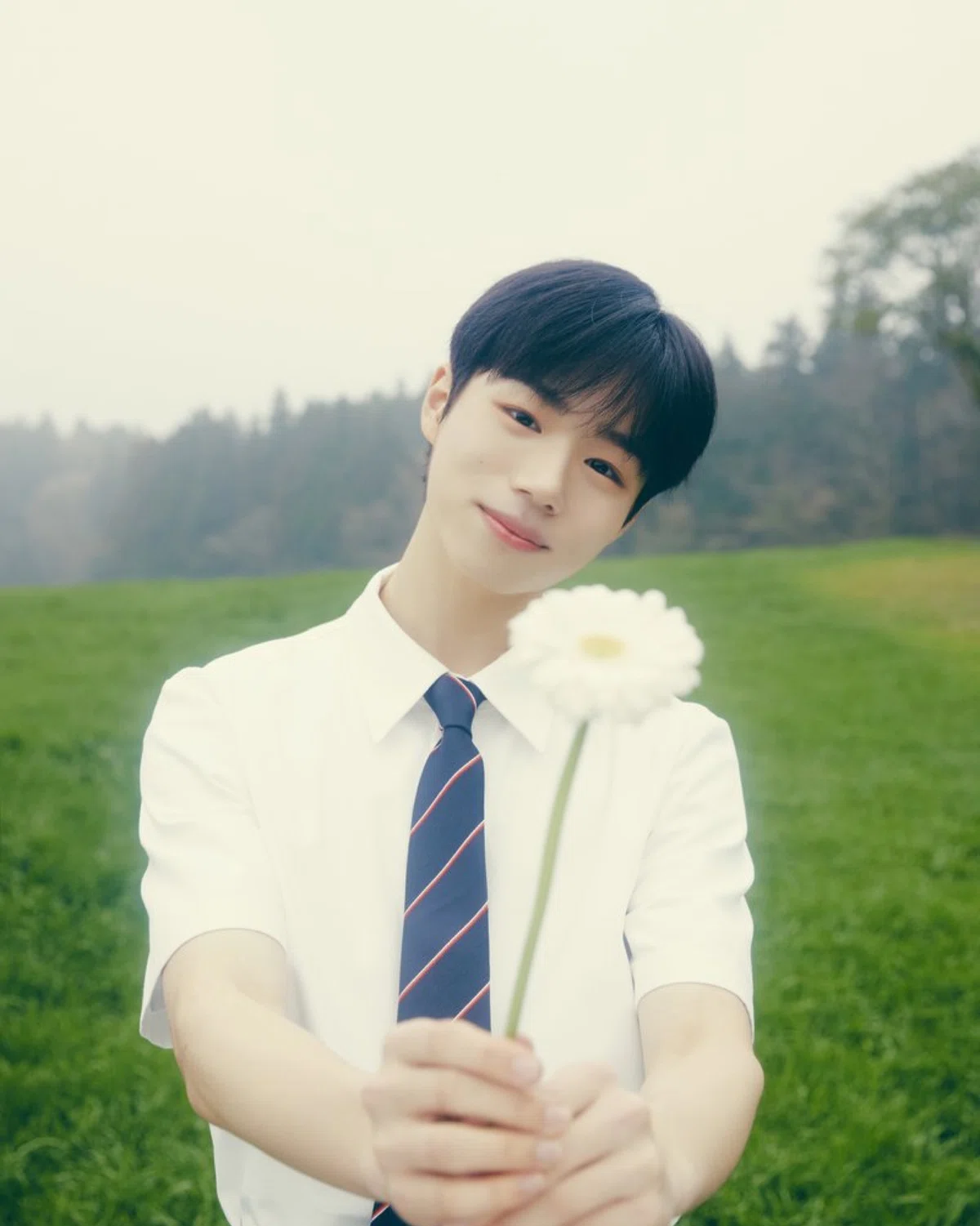 THEWIND(더윈드)ザウィンド｜KBLOG82