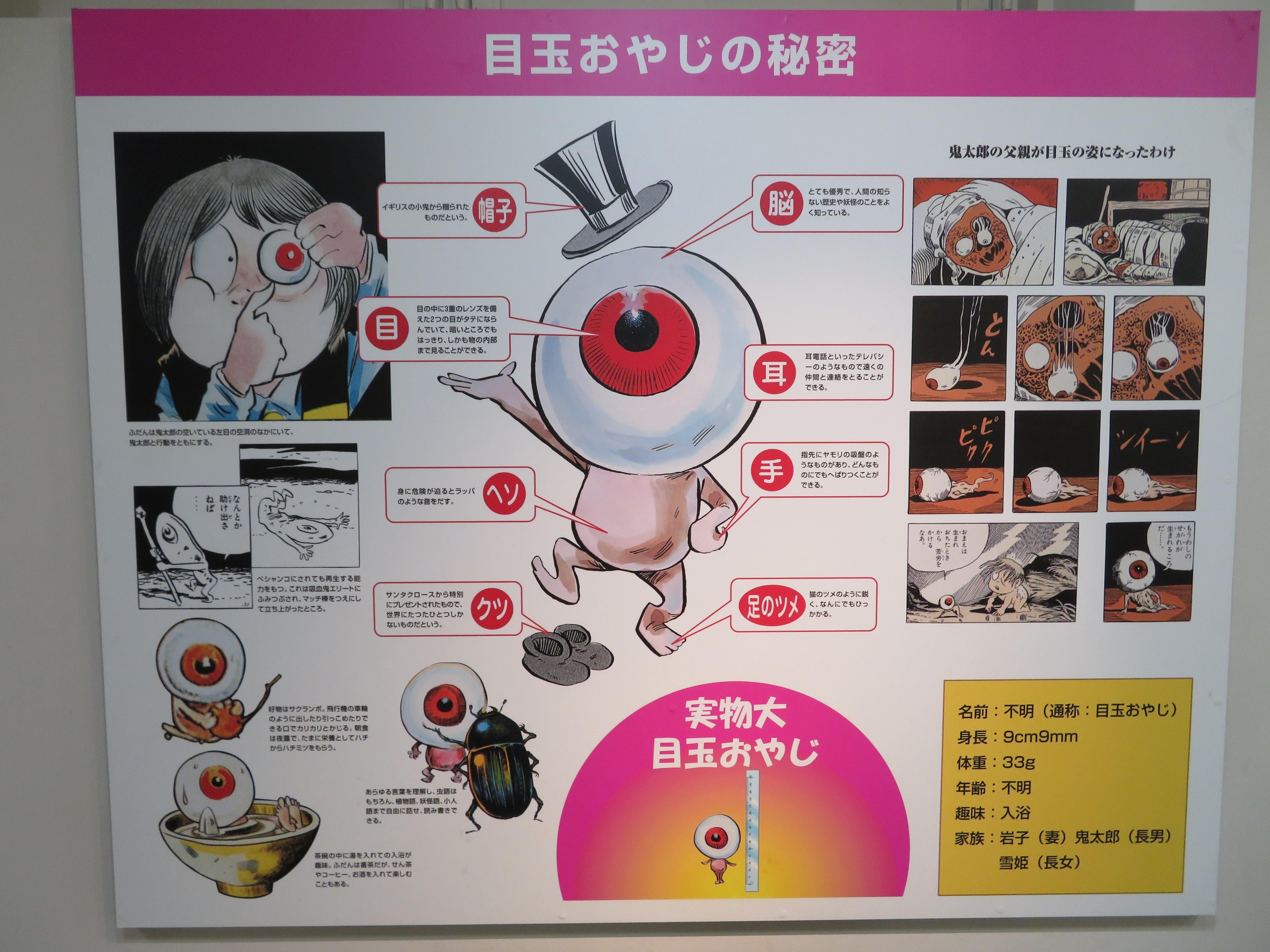 つながる旅行記#165】水木しげる記念館② ～鬼太郎の設定あれこれと