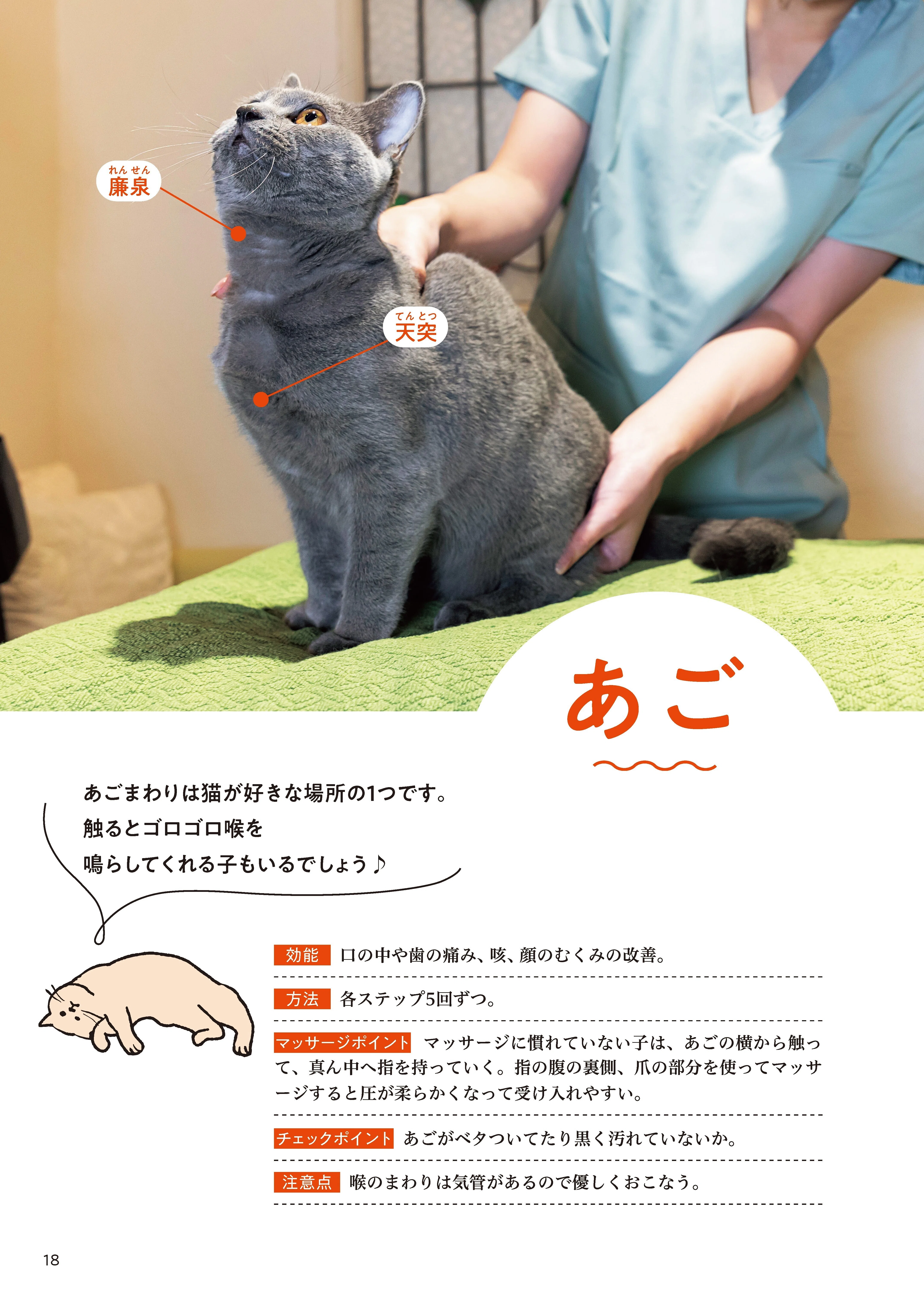 試し読み】 重版記念!! 『ねこほぐし 猫を整えるマッサージ