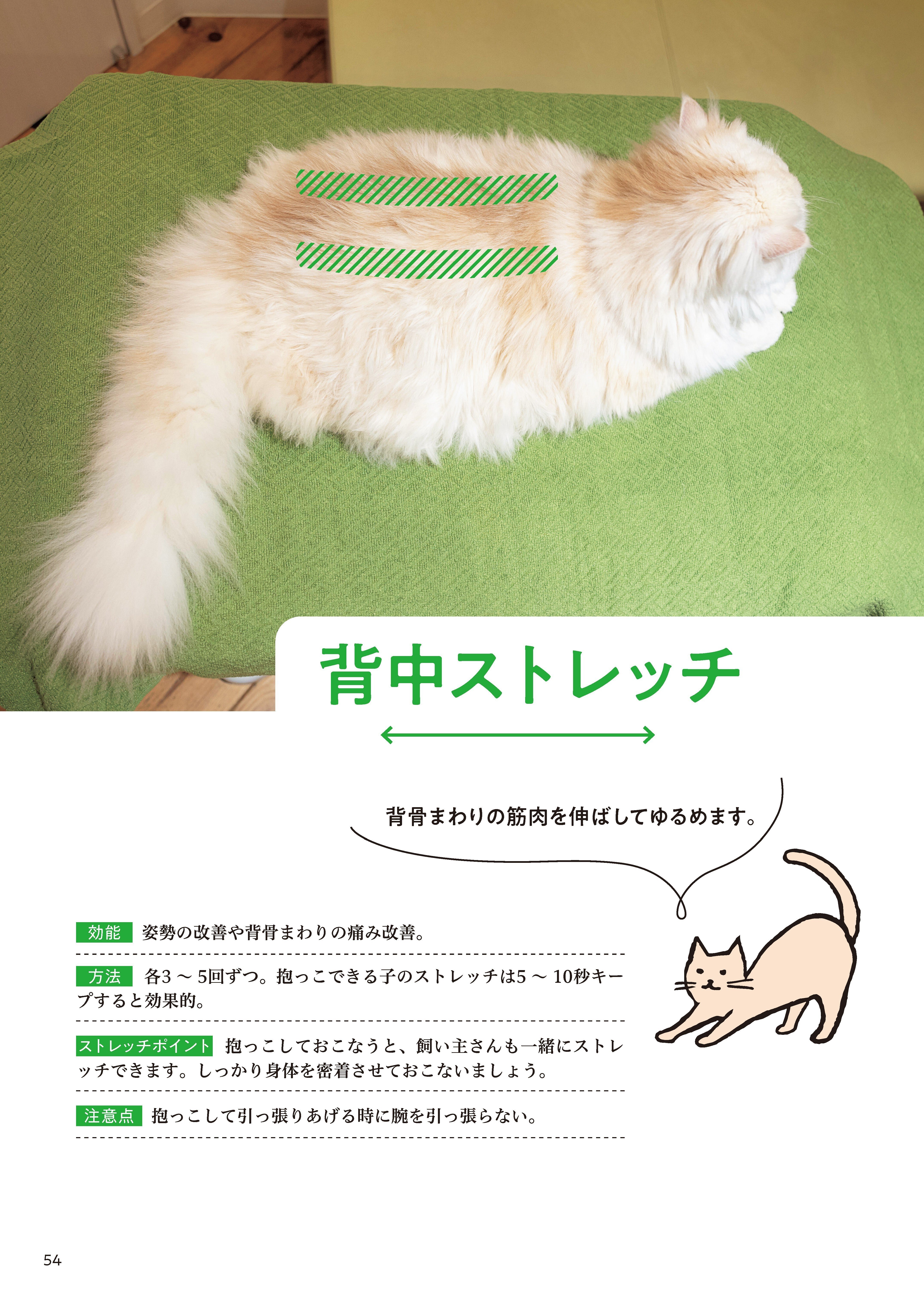 試し読み】 重版記念!! 『ねこほぐし 猫を整えるマッサージ