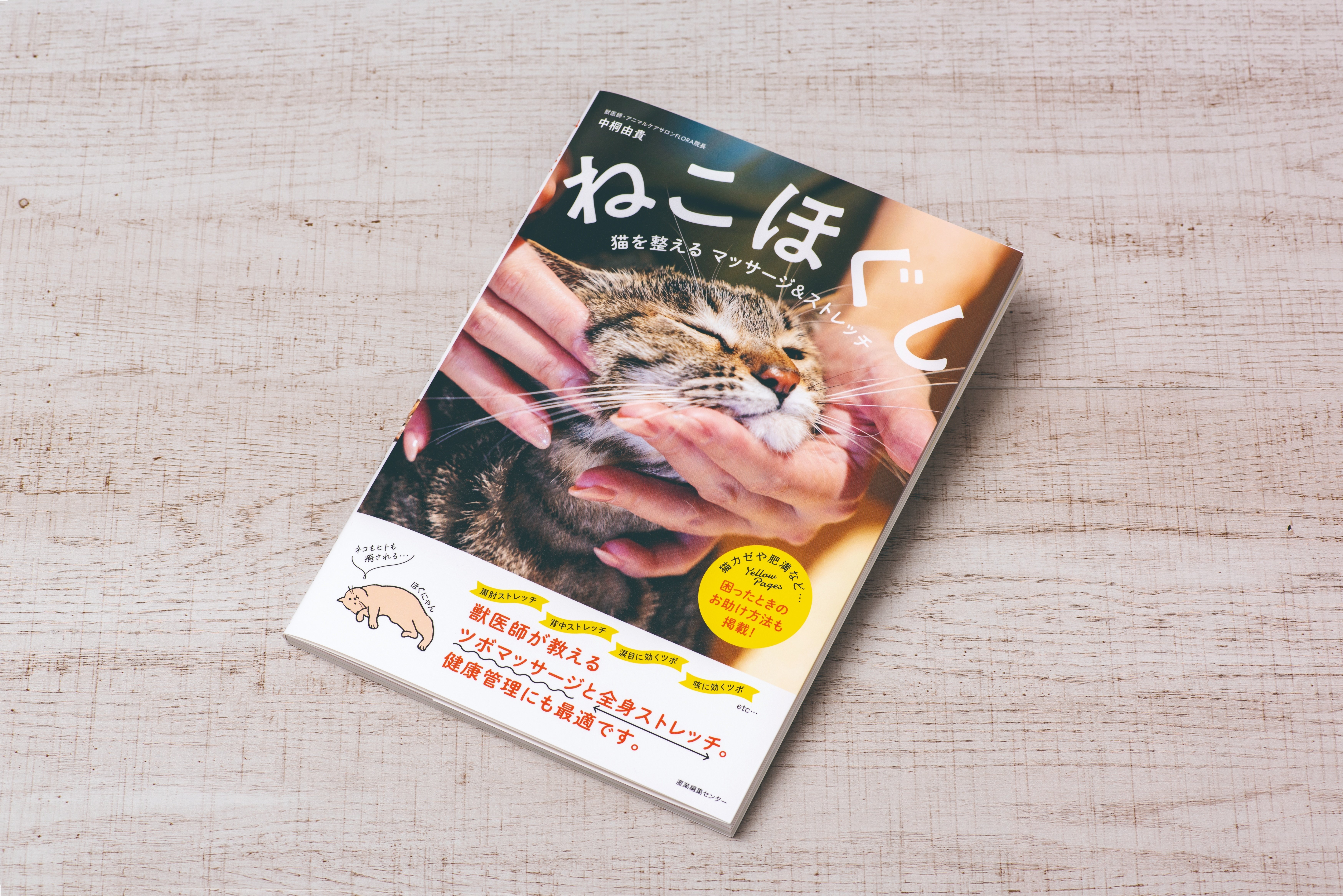 【専用】ねこほぐし ねこほぐし 猫を整えるマッサージ＆ストレッチ | 中桐 由貴 |本