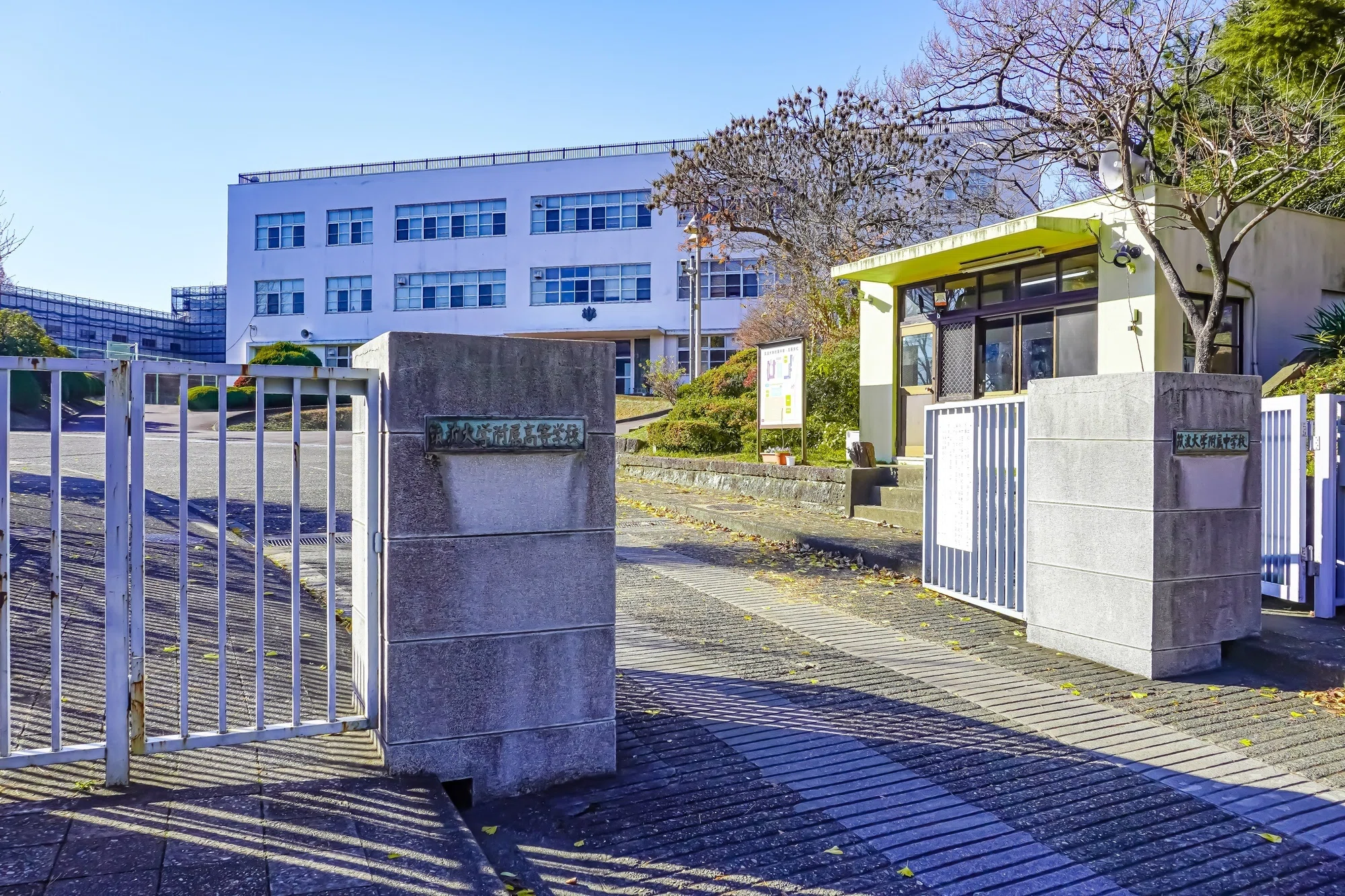 筑波大学附属小学校】合格者の併願校と幼稚園、保育園卒の割合を徹底