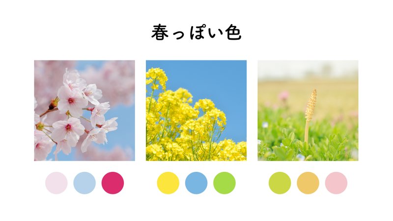 春の写真から「春っぽい色」を３色抜き出しました