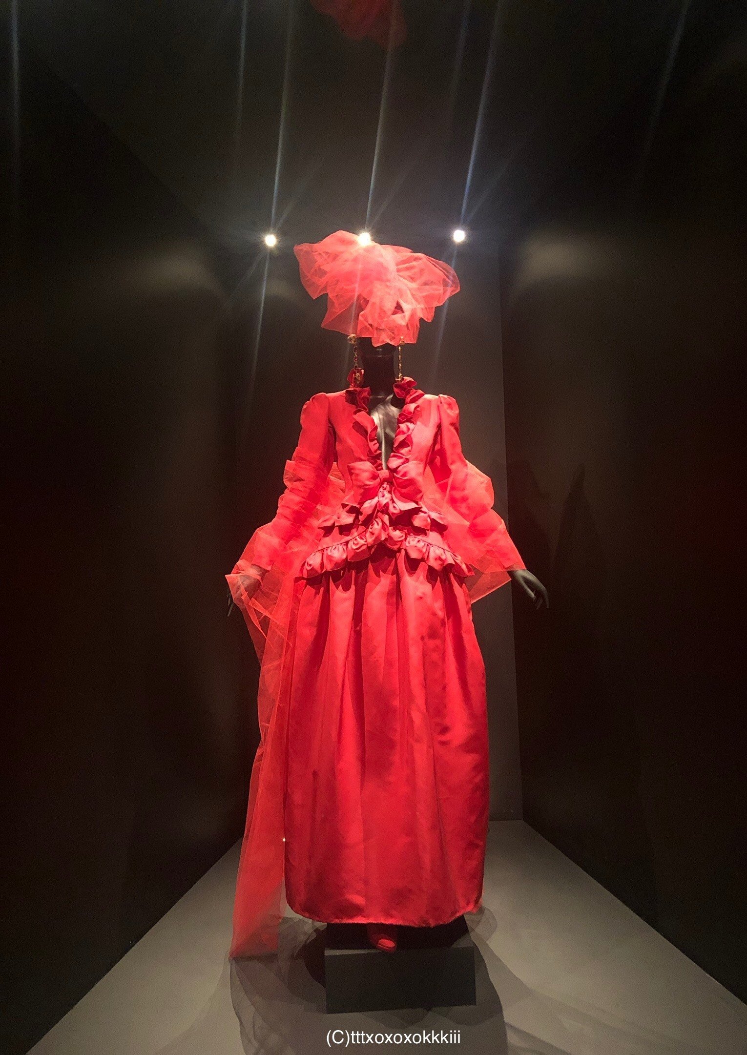 イブサンローラン美術館　パリ　洋書　イブサンローラン 東京・国立新美術館で、12月11日まで開催 「イヴ・サンローラン
