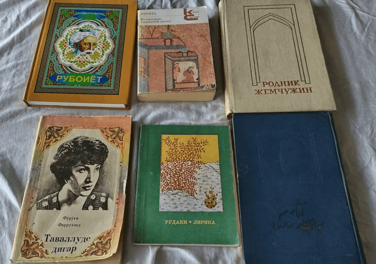 値下げ※希少※ペルシャ語の詩の本 イラン現地購入品 語の詩の本 きずつい イラン現地品