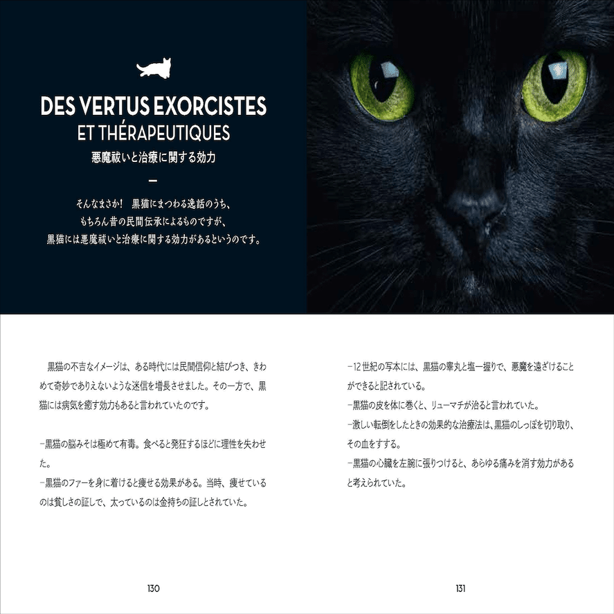 黒猫は不幸の前兆？それとも幸運の象徴なの？黒猫にまつわる謎と迷信