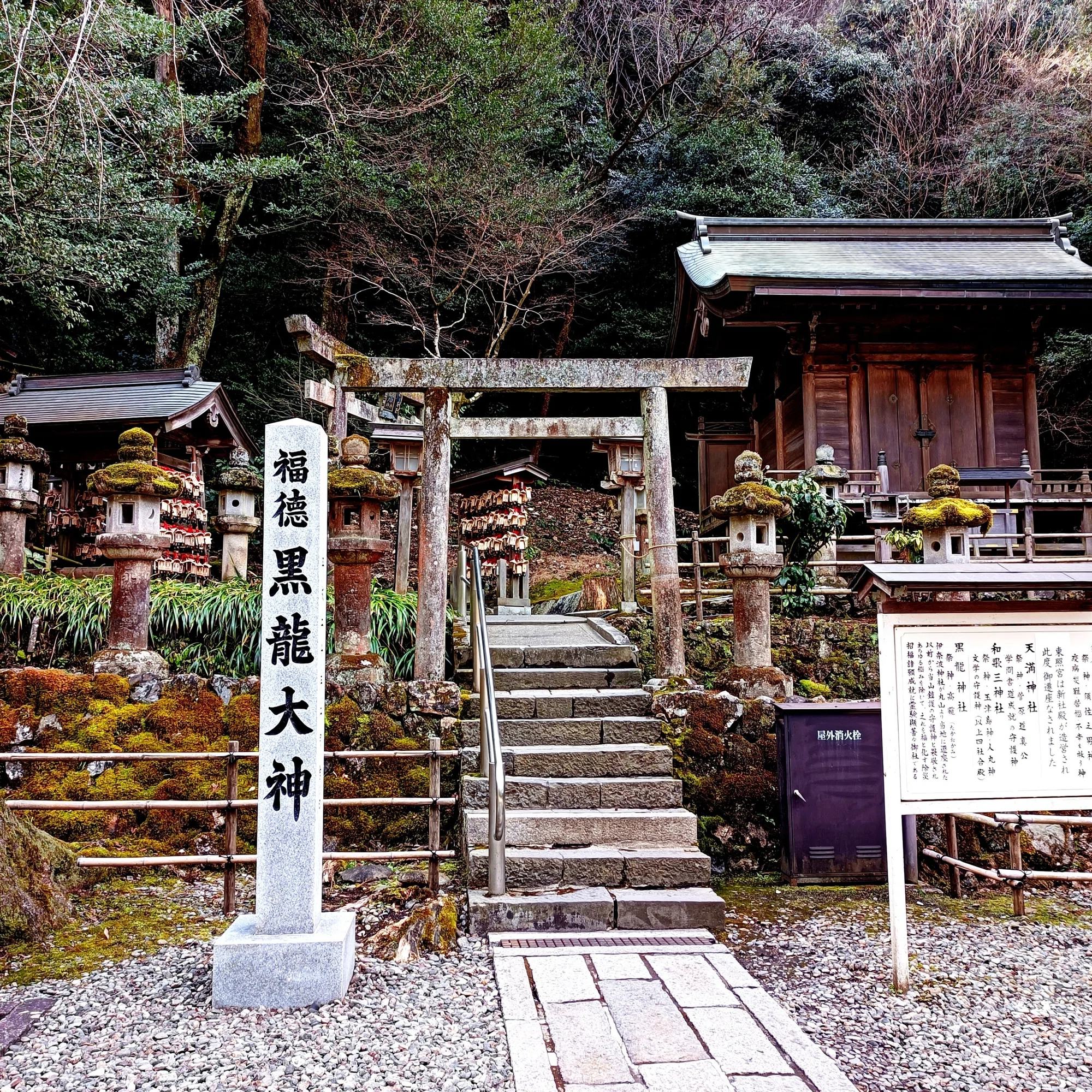 岐阜の「金」は長良川への祈り（伊奈波神社/黒龍神社/武内宿禰 